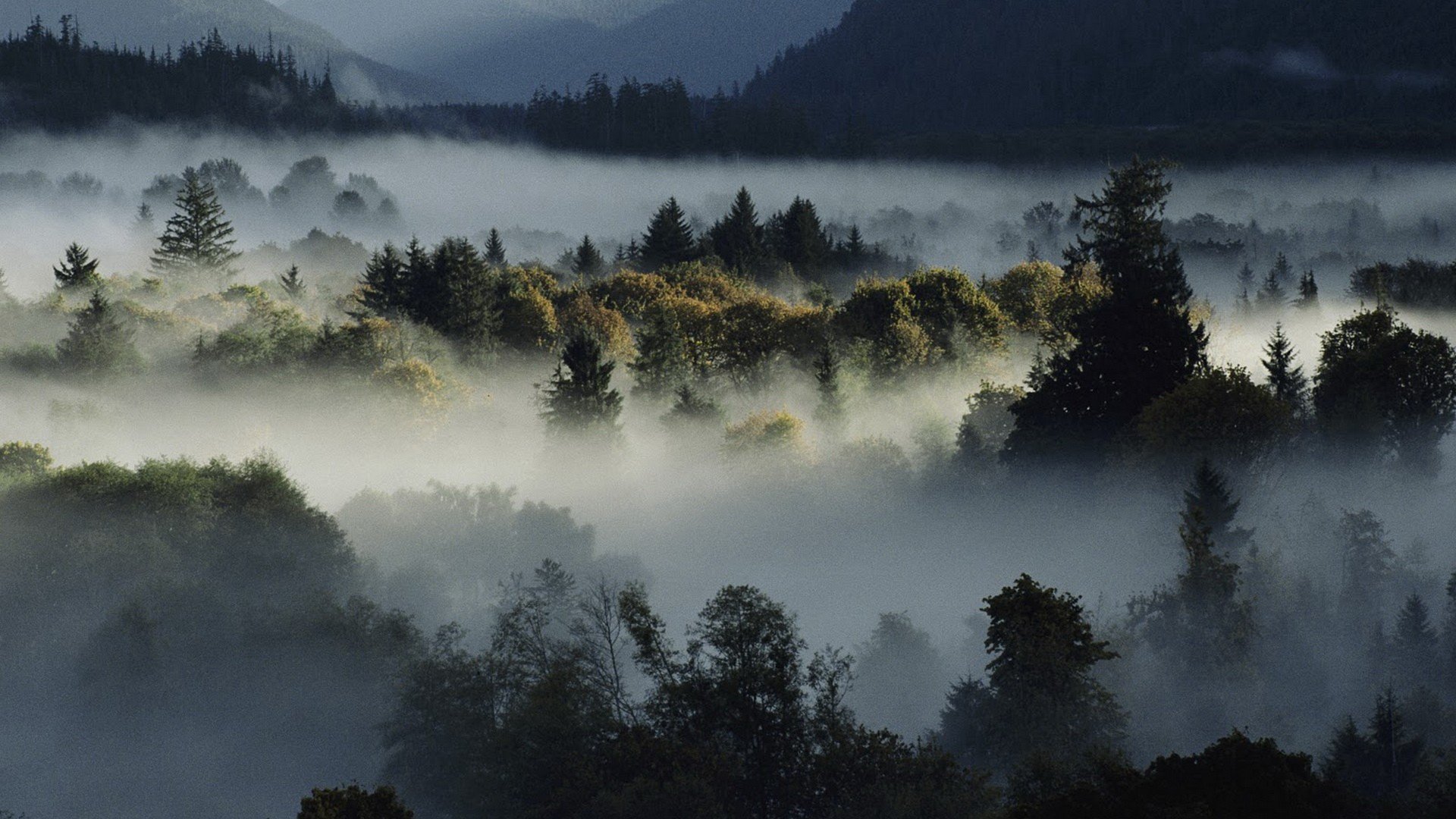 心静者高,风景,云雾,唯美,意境,古风
