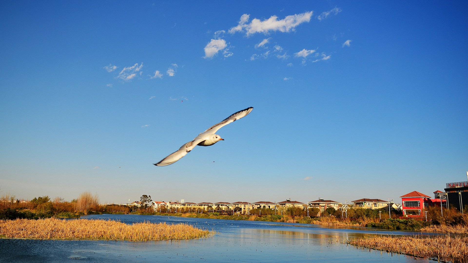 自然,风光,风景,落日余晖,夕阳,黄昏,傍晚,唯美