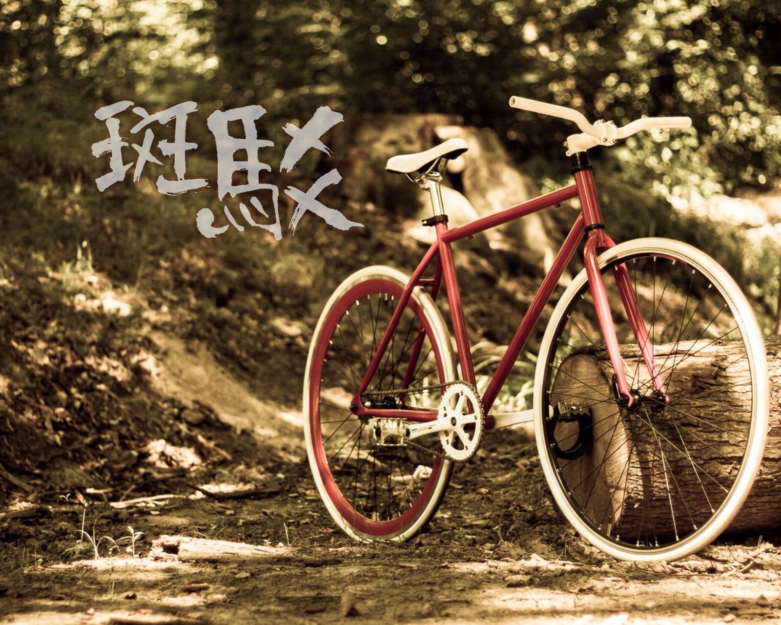 情感,温馨,文字控,心事,治愈,自行车,斑驳