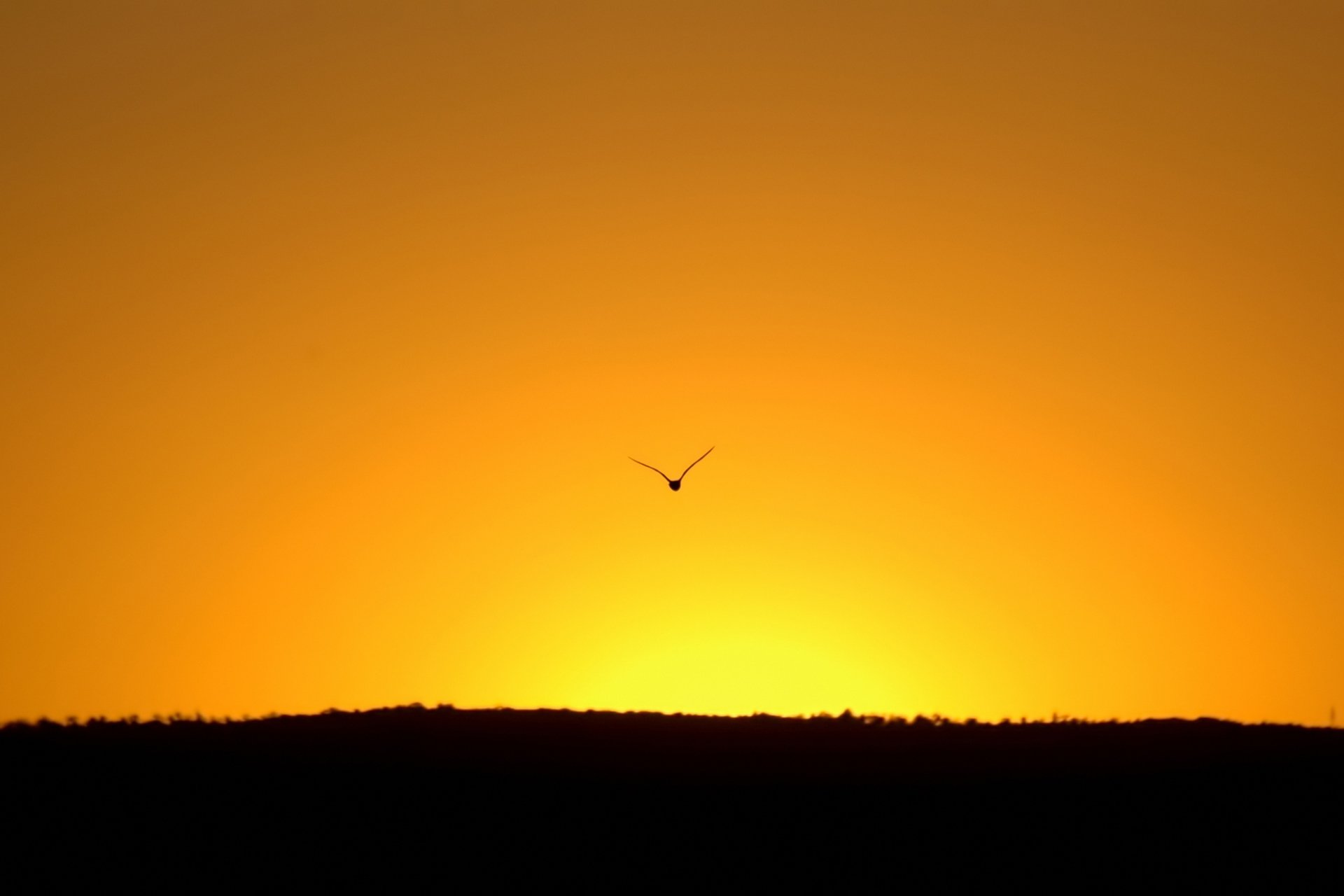 自然,风光,风景,落日余晖,夕阳,黄昏,傍晚,唯美