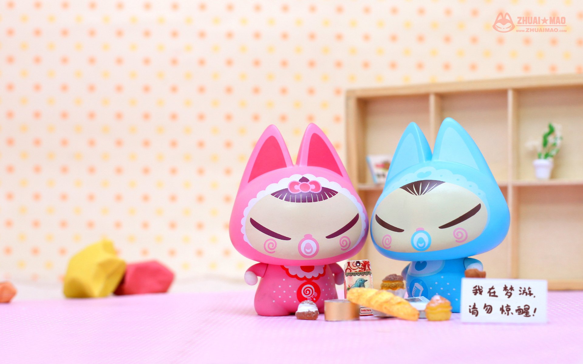 拽猫,可爱,动漫,摄影,静物微距,文字,愚人节,恶搞,搞笑