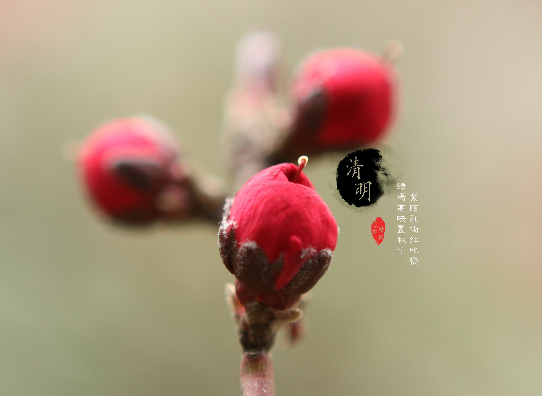 清明节,古风,古诗,诗句,意境,节气,24节气,二十四节气,@姑凉_你又瘦了