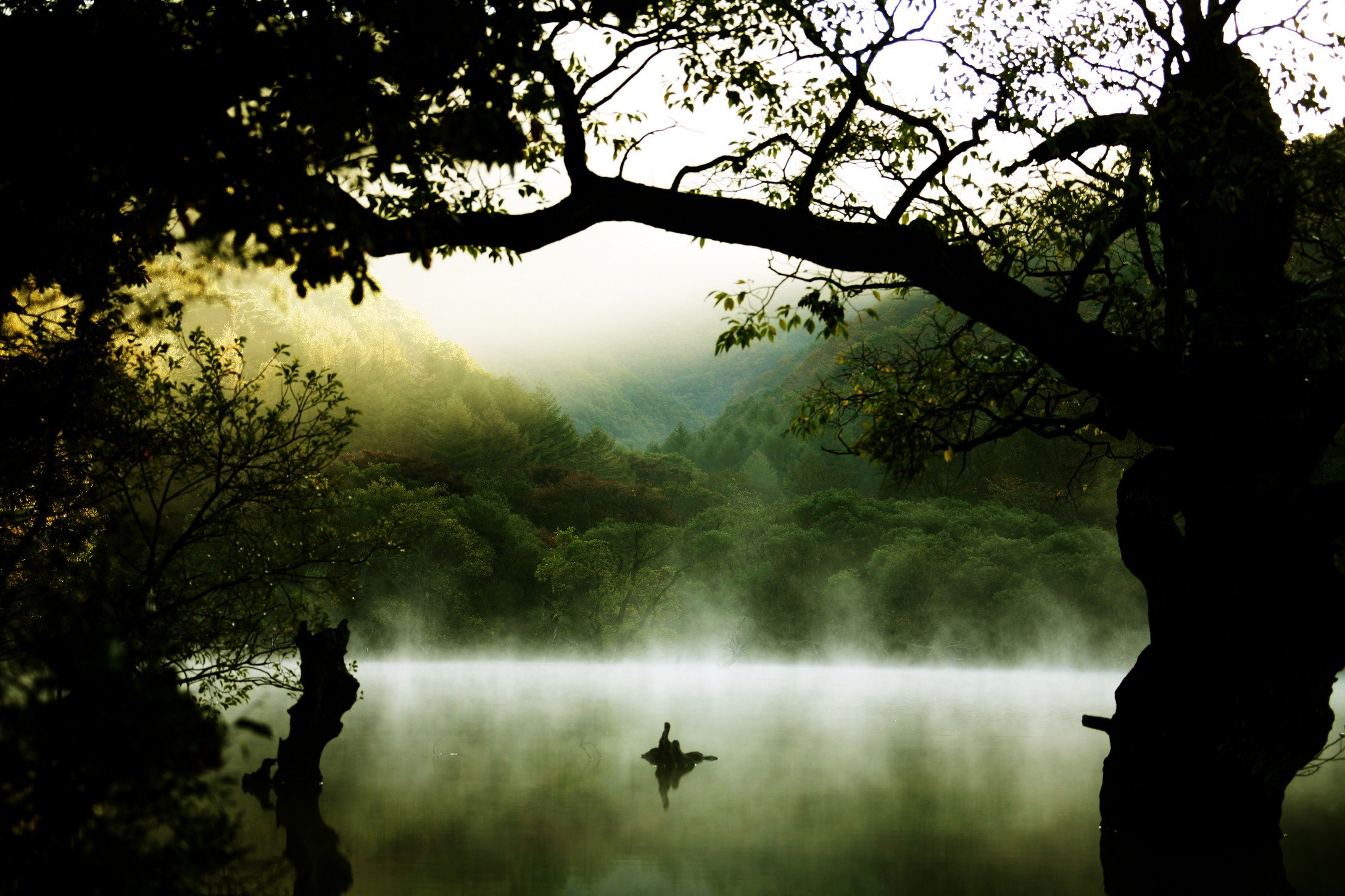 心静者高,风景,云雾,唯美,意境,古风