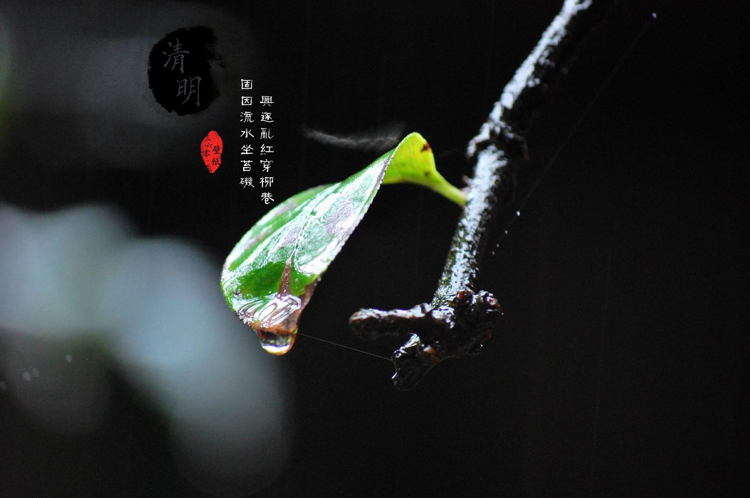 清明节,古风,古诗,诗句,意境,节气,24节气,二十四节气