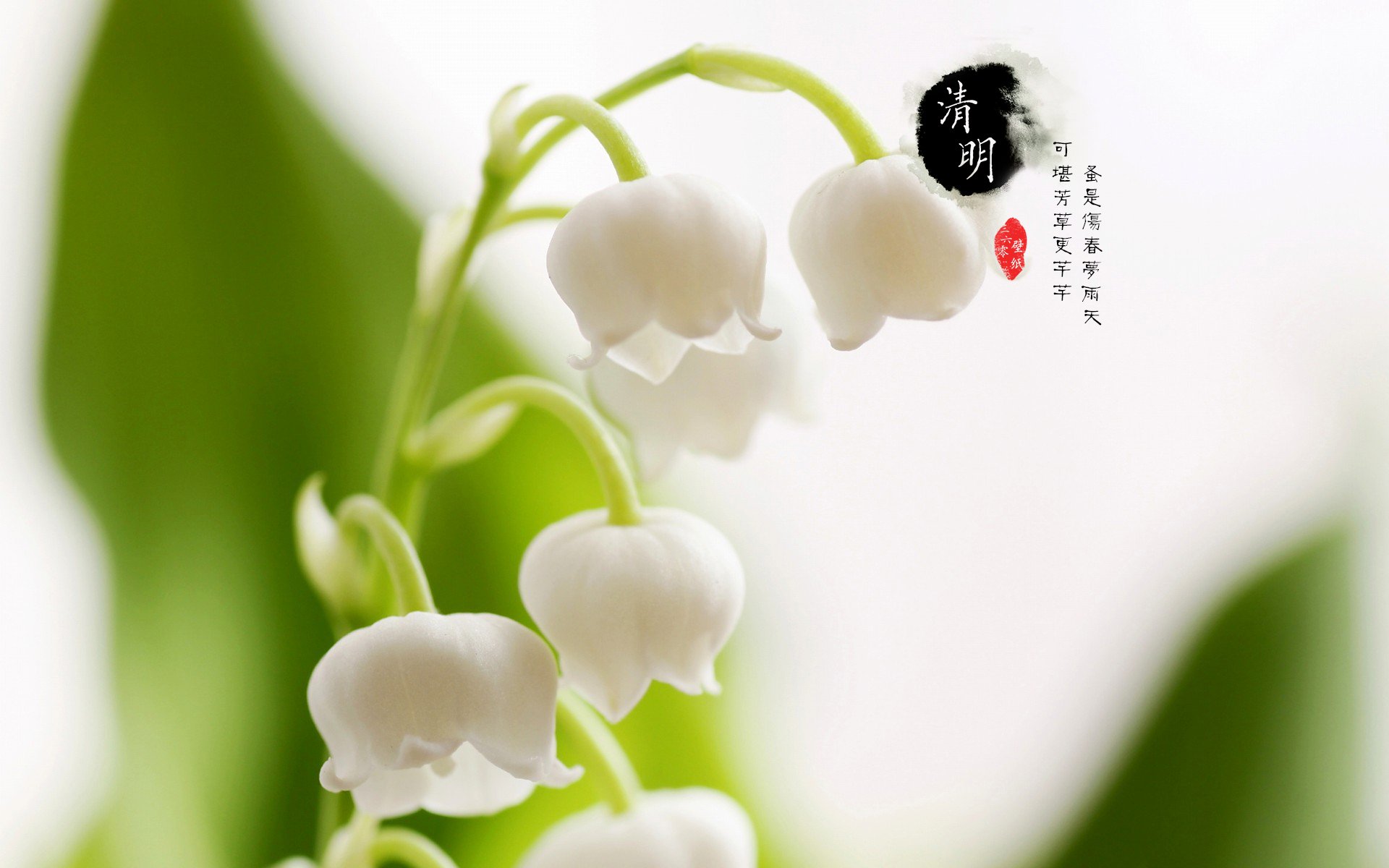 清明节,古风,古诗,诗句,意境,节气,24节气,二十四节气,@姑凉_你又瘦了