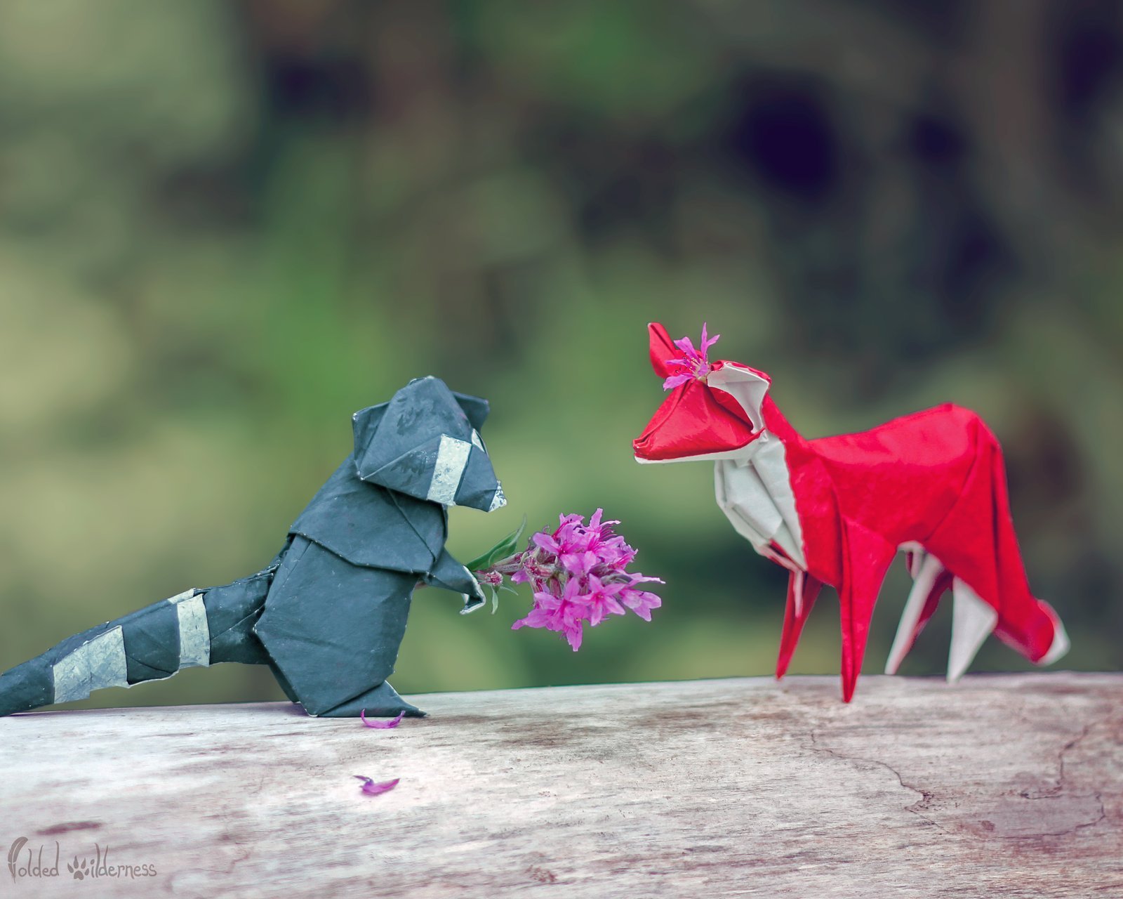 小清新,清新,唯美,物语,静物,治愈系,温暖,慢生活,折纸