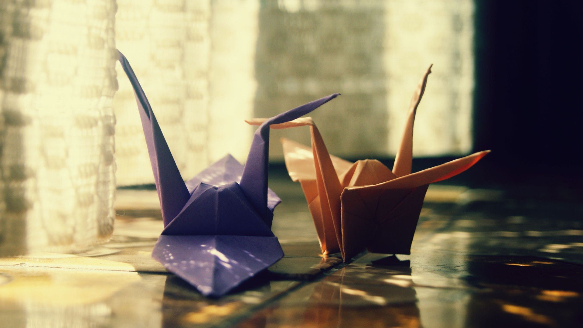 小清新,唯美,温馨,温暖,阳光,治愈系,安静,生活,慢生活,清新淡雅,温馨一刻,复古,LOMO