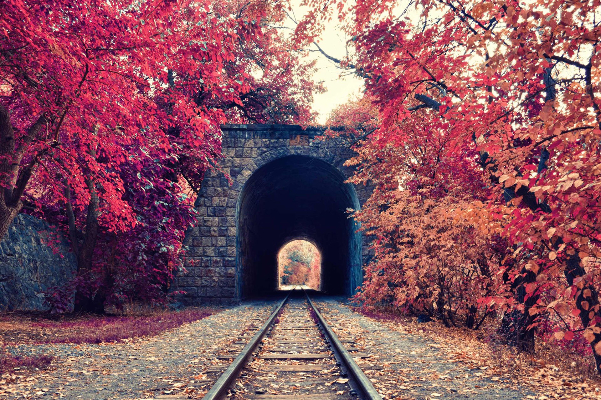 自然,风光,风景,秋天,秋意正浓