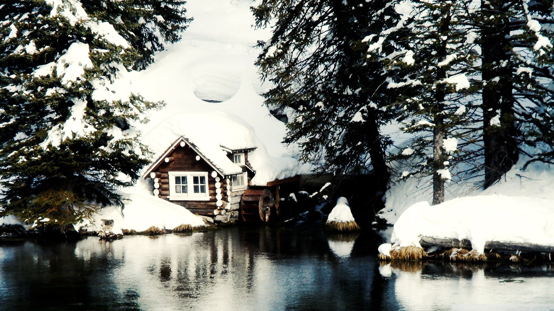 自然,风光,风景,冰天雪地,雪,冬天,冷,寒冷