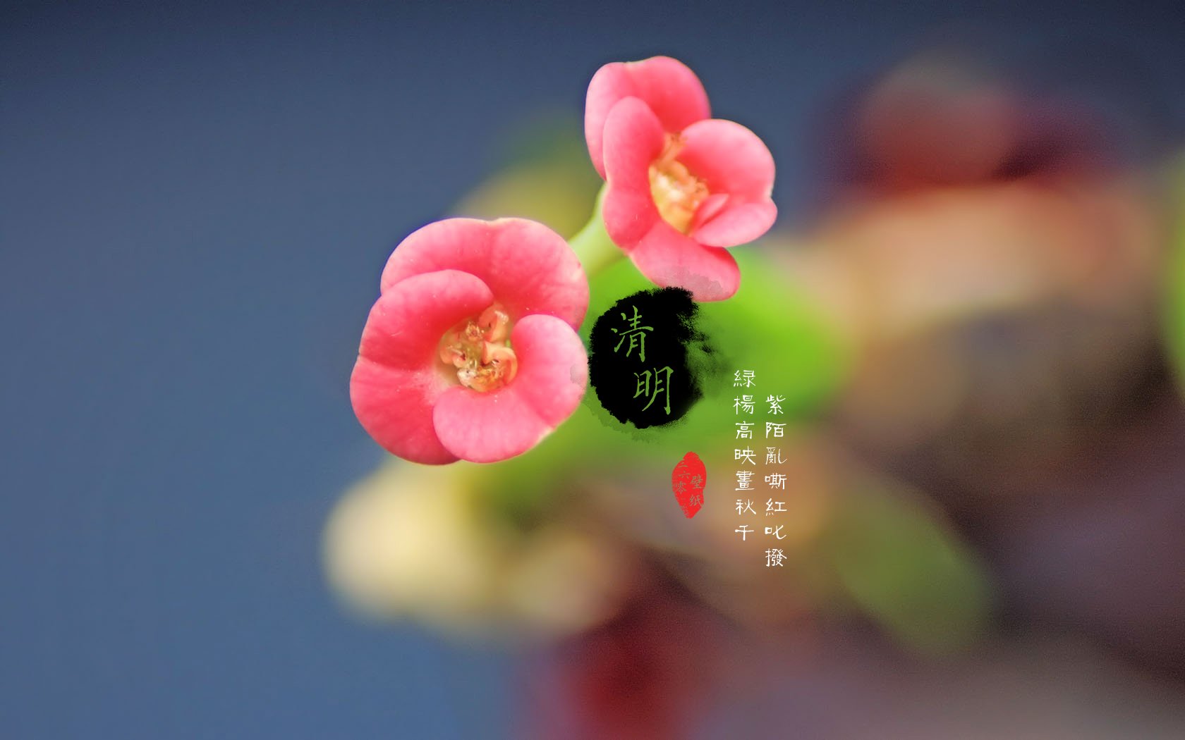 清明节,古风,古诗,诗句,意境,节气,24节气,二十四节气