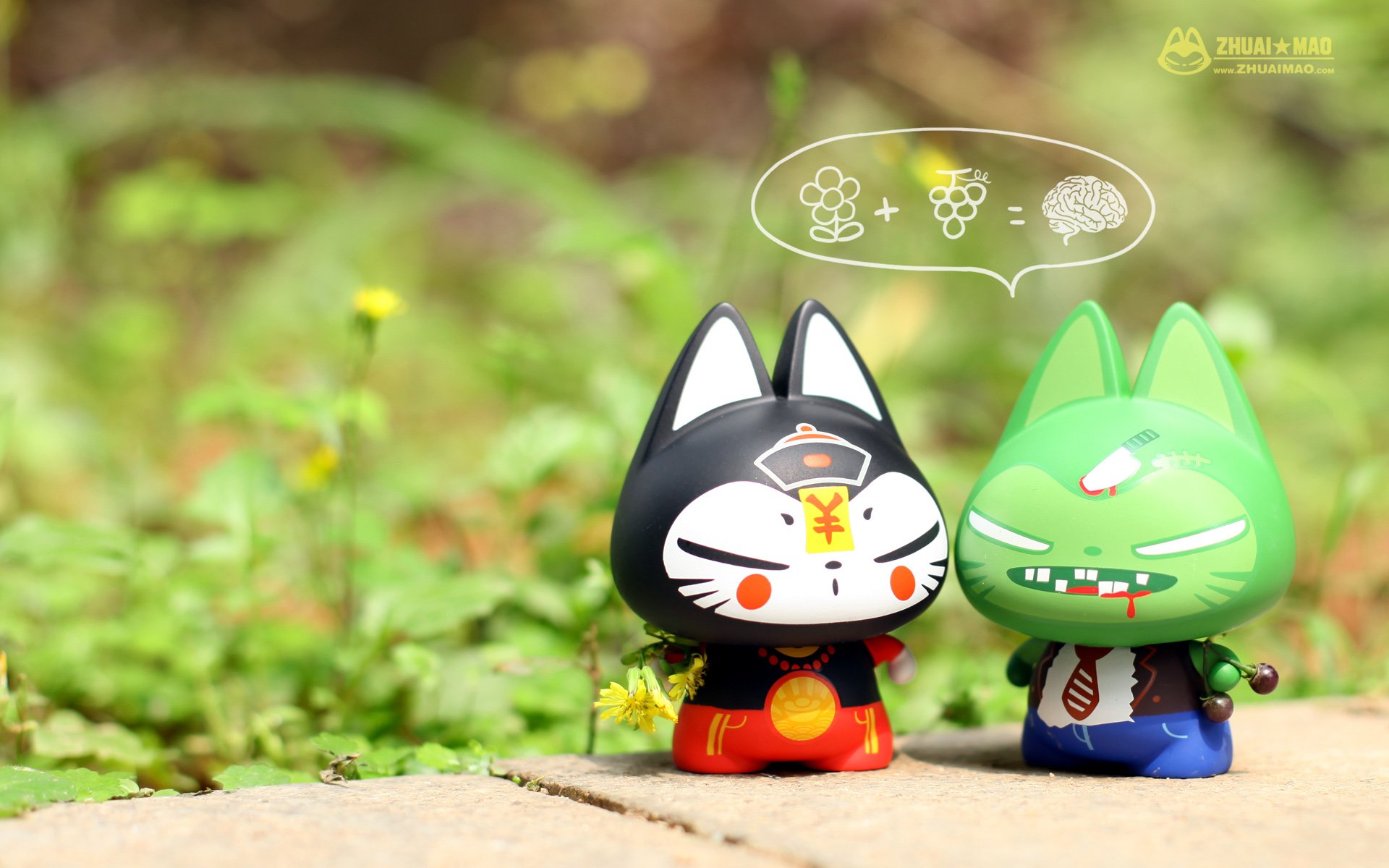 拽猫,可爱,动漫,摄影,静物微距,文字,愚人节,恶搞,搞笑