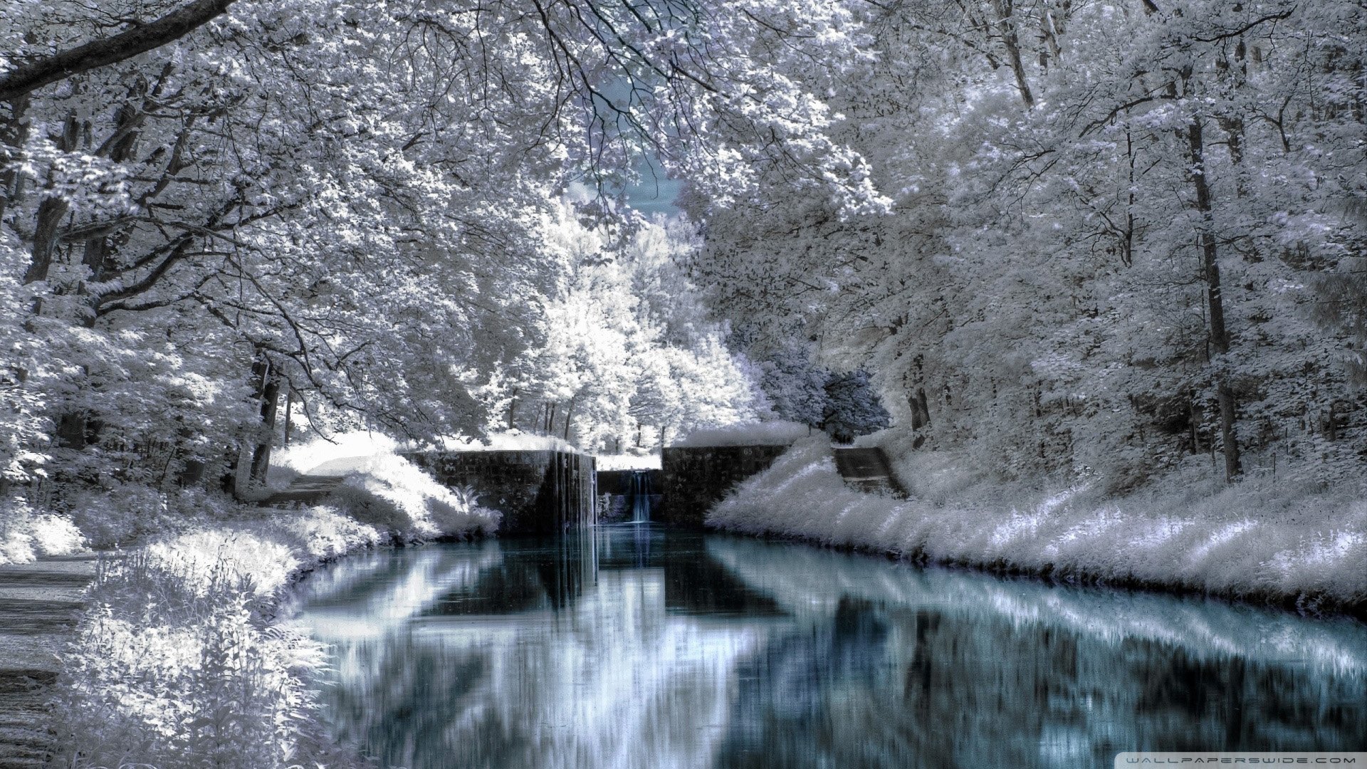 自然,风光,风景,冰天雪地,雪,冬天,冷,寒冷