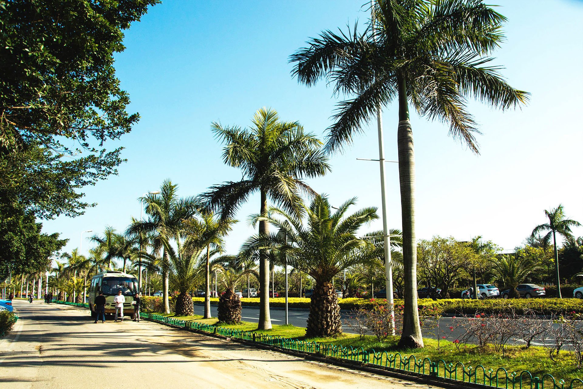 自然,风光,风景,旅游胜地