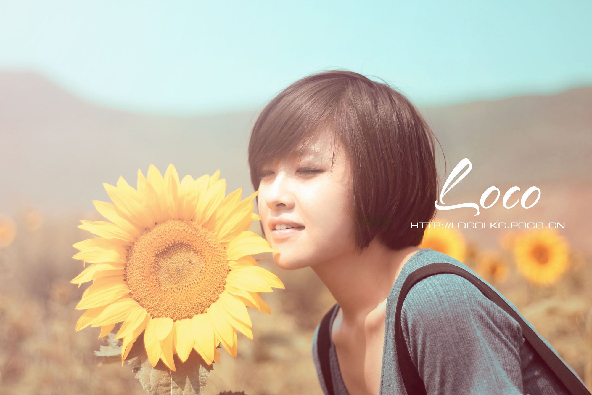 小清新,唯美,温馨,温暖,阳光,绿色养眼,自然,清新淡雅,花,春天,花团锦簇,向日葵