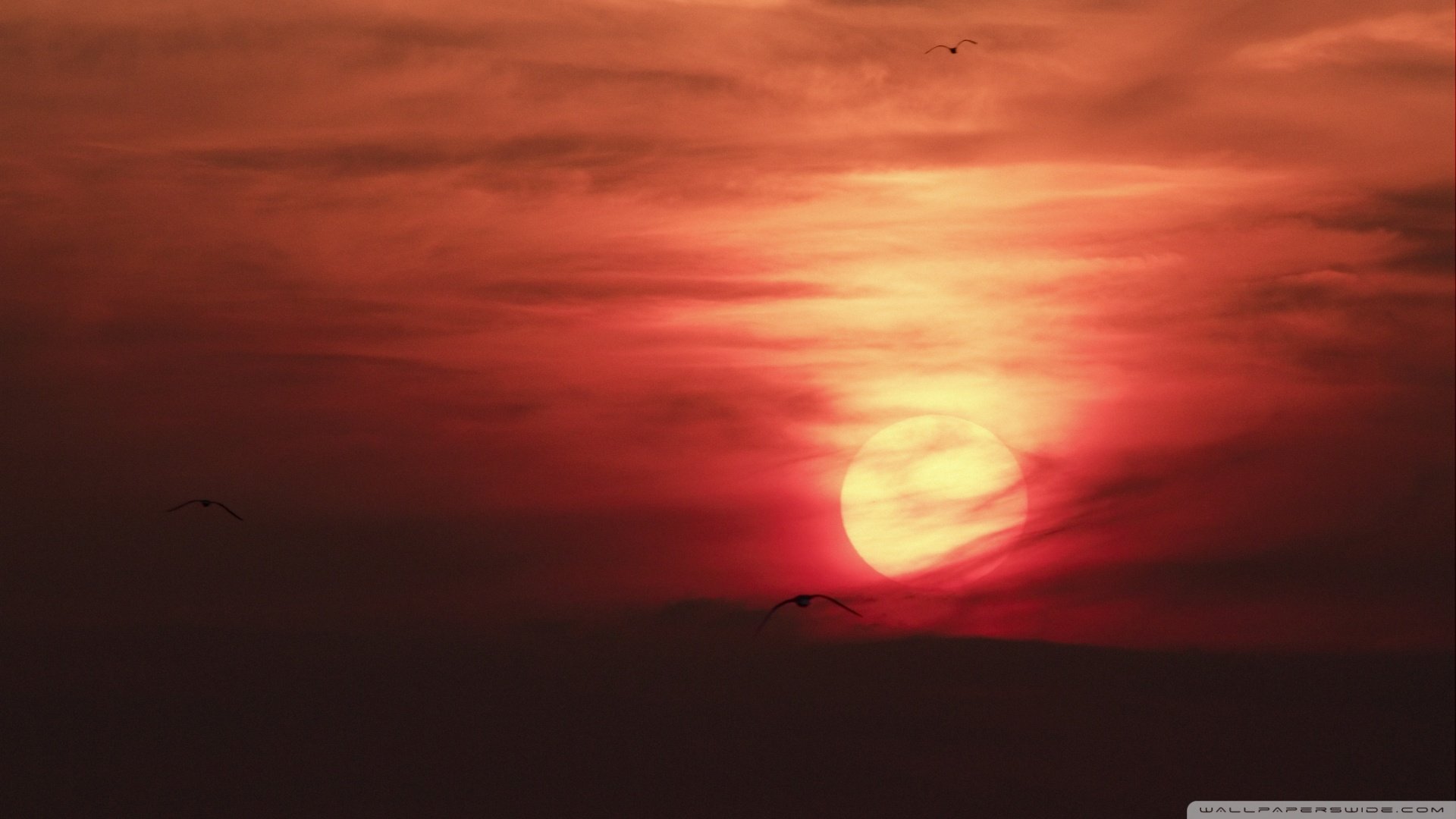 自然,风光,风景,落日余晖,夕阳,黄昏,傍晚,唯美