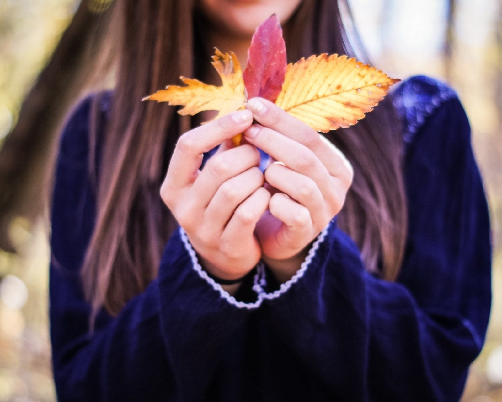 美女,清纯佳人,青春,温暖,安静,清新