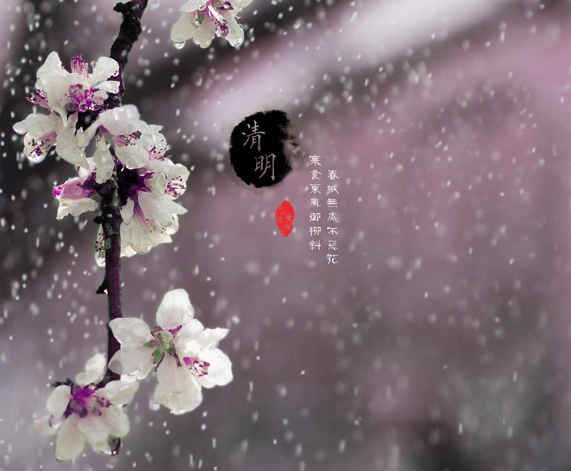 清明节,古风,古诗,诗句,意境,节气,24节气,二十四节气,@姑凉_你又瘦了