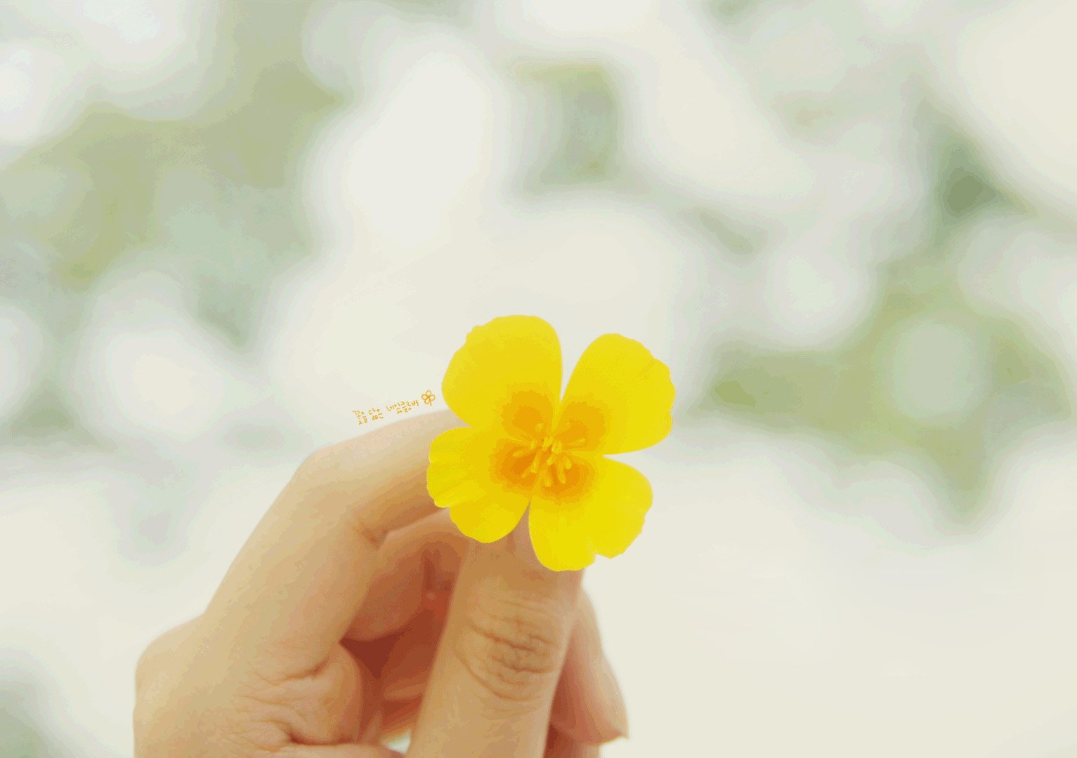 小清新,唯美,浪漫,温暖,温馨,干净,治愈系,慢生活,治愈,美好,女孩,我一直都在你身后,孤单,寂寞,伤感,手,花