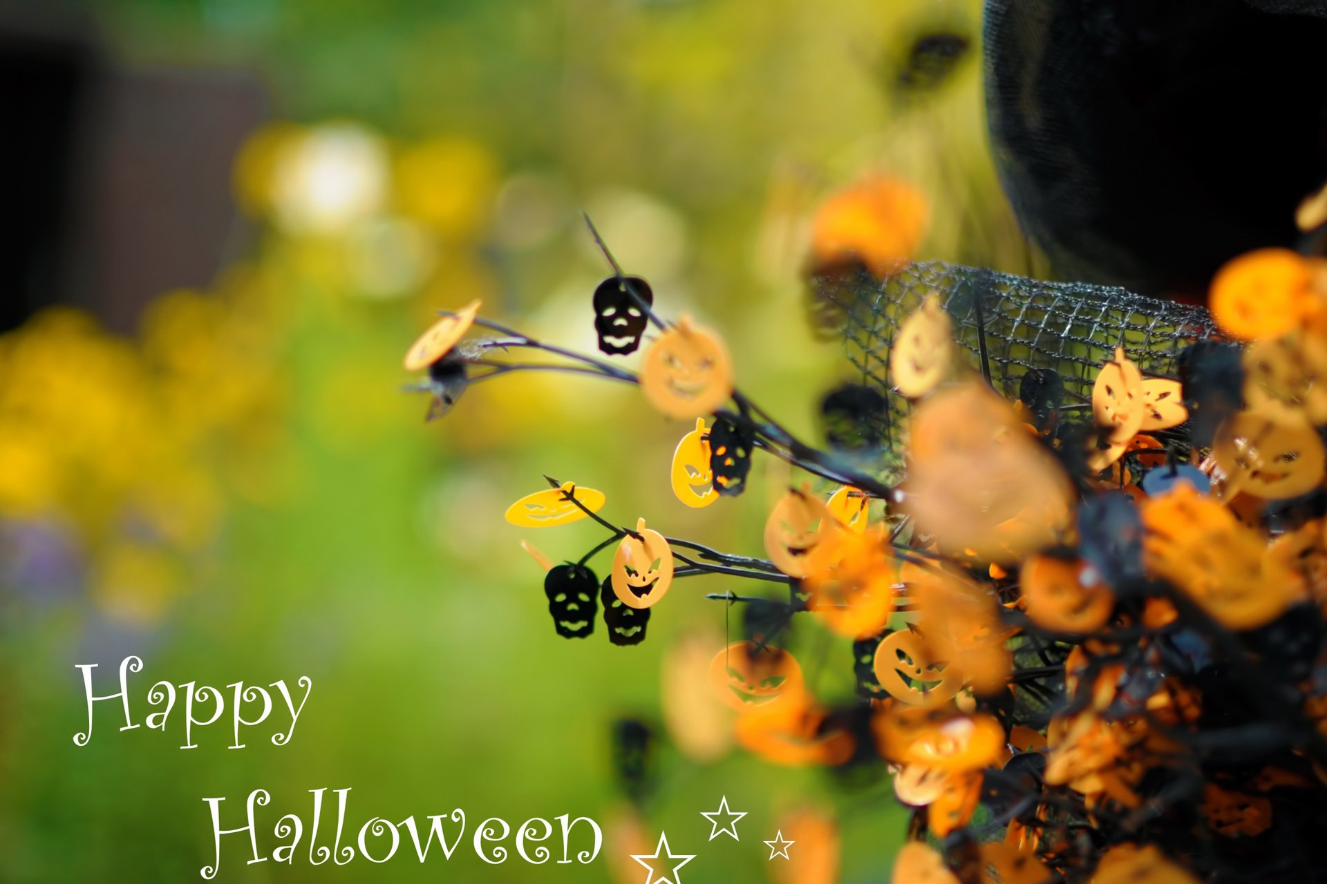 小清新,唯美,温馨,温暖,阳光,绿色养眼,自然,清新淡雅,花,春天,花团锦簇