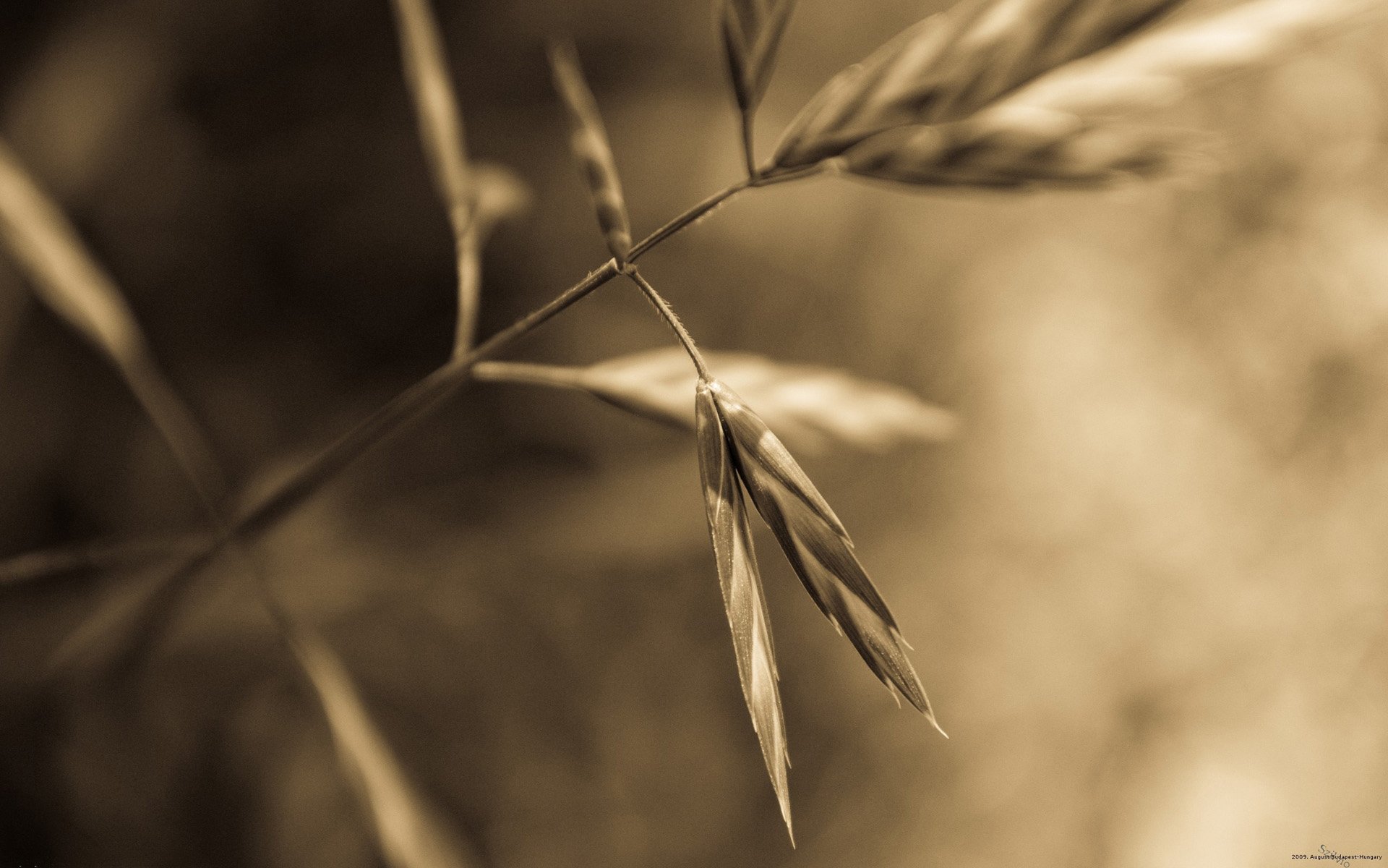 自然,风光,风景,秋天,秋意正浓