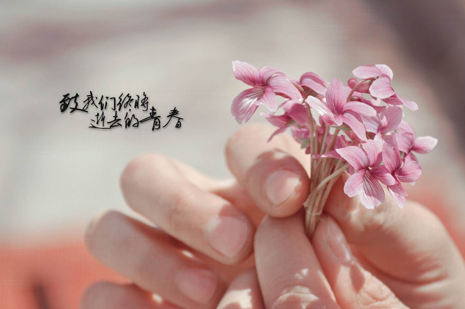 小清新,唯美,温馨,温暖,阳光,治愈系,安静,生活,慢生活,清新淡雅,温馨一刻,静物写真,物语,花,手