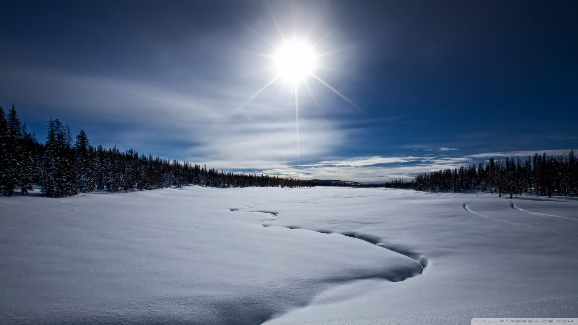 自然,风光,风景,冰天雪地,雪,冬天,冷,寒冷