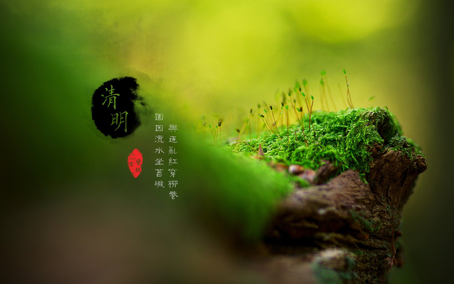 清明节,古风,古诗,诗句,意境,节气,24节气,二十四节气,@姑凉_你又瘦了