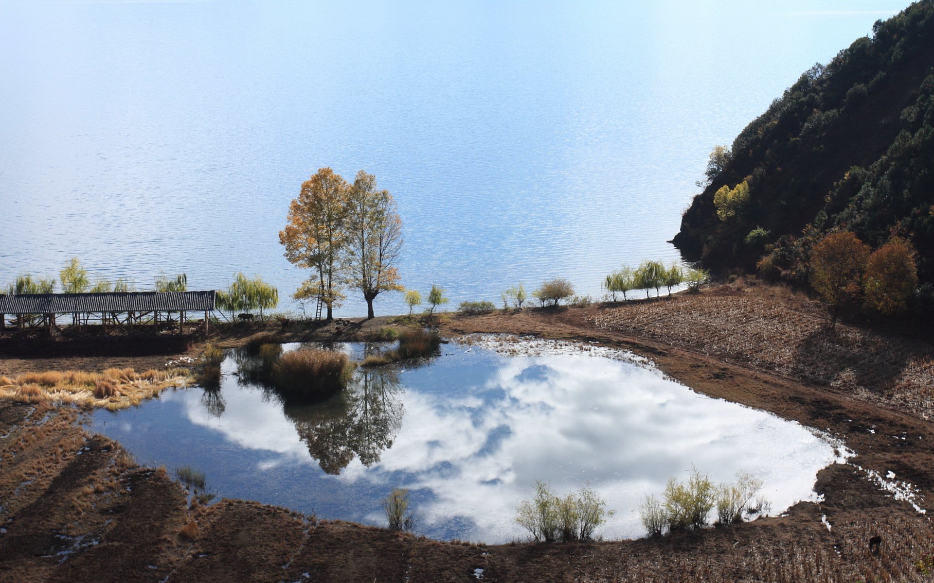 自然,风光,风景,秋天,秋意正浓