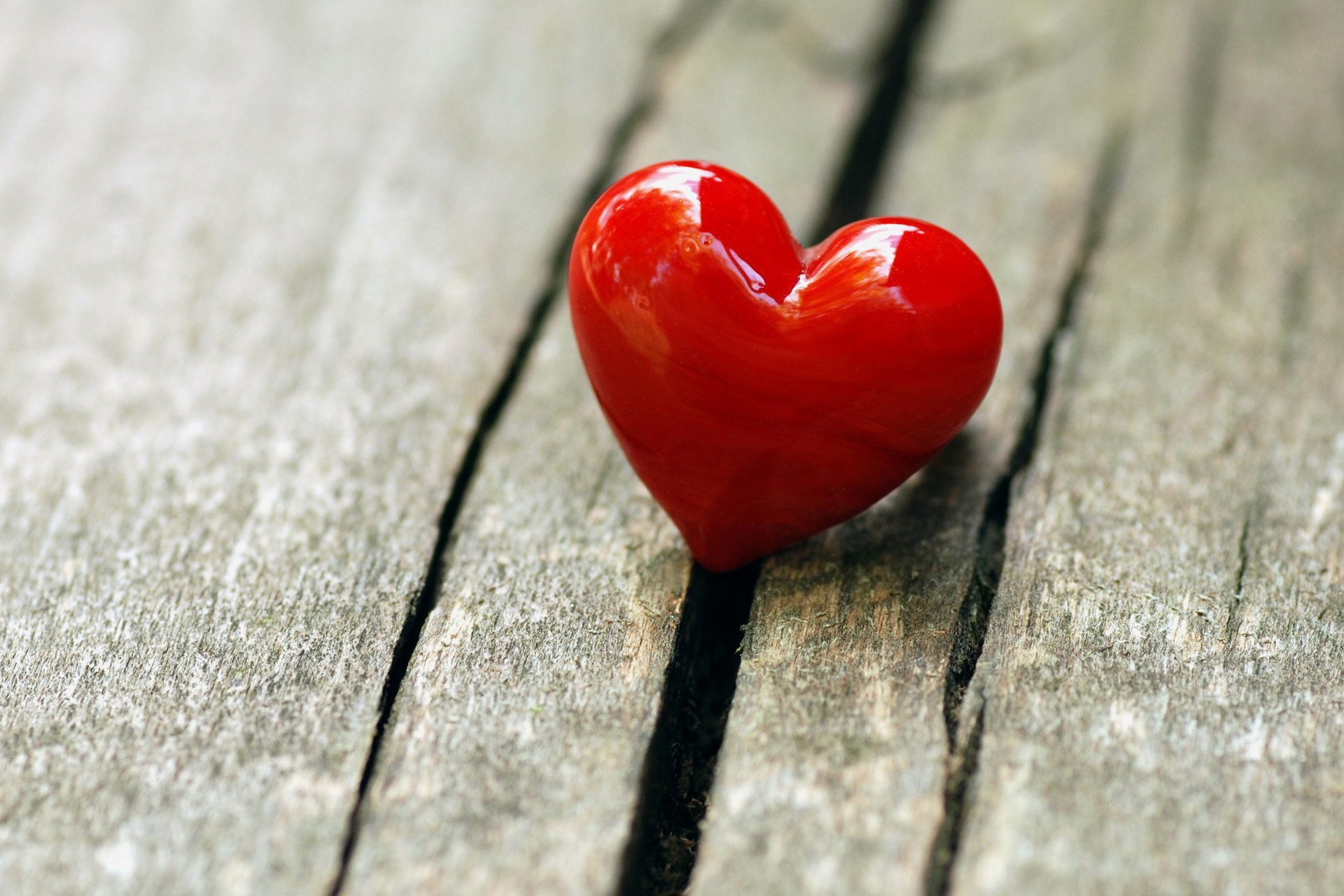 浪漫,爱情,情感,爱,love,唯美,清新,心,静物,物语,心动创意,红色