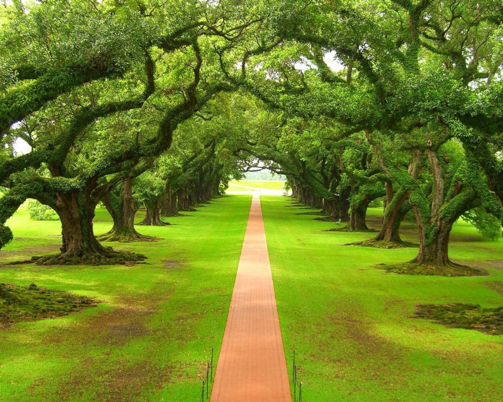 风景,自然,风光,唯美,安静,树林,路