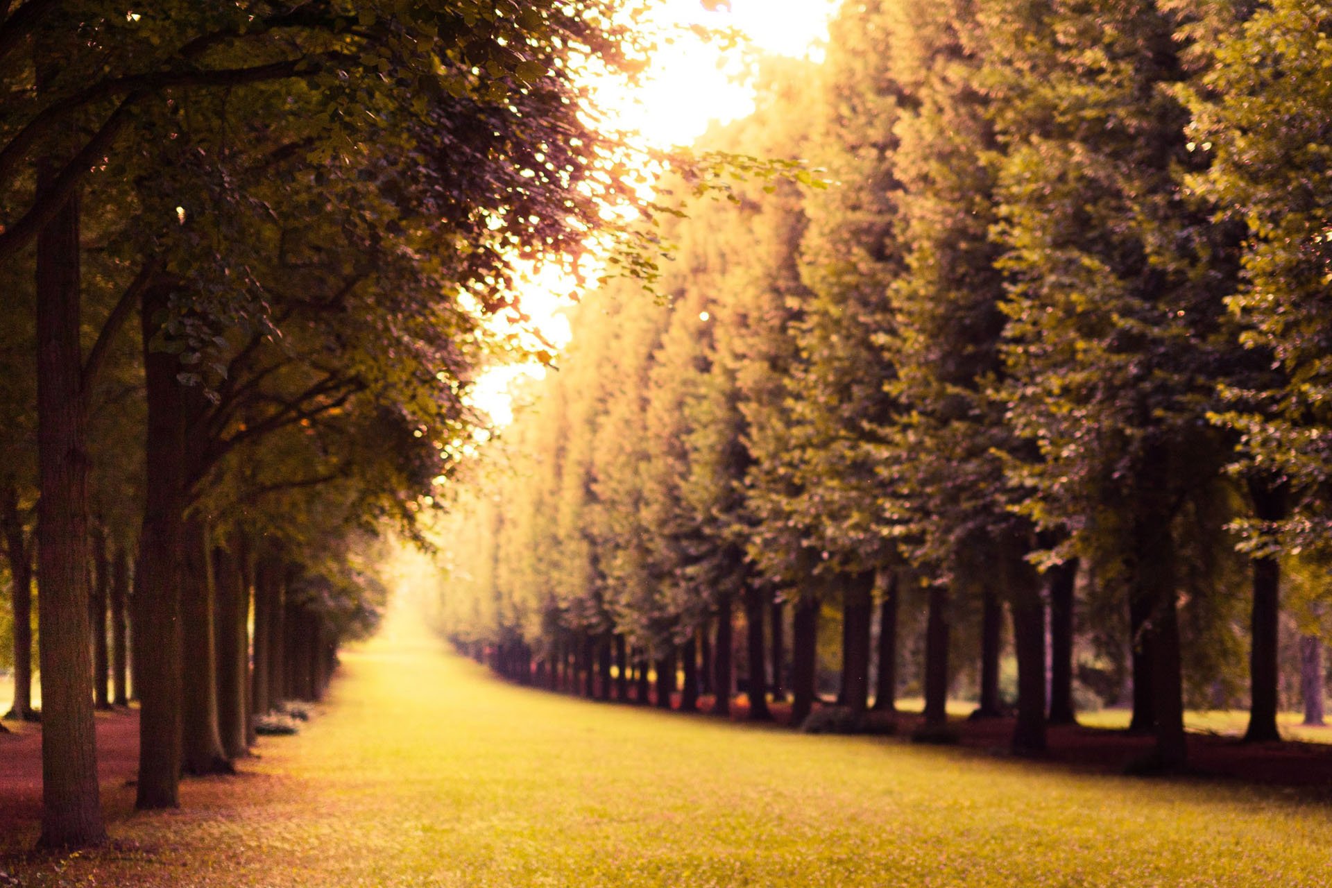 自然,风光,风景,落日余晖,夕阳,黄昏,傍晚,唯美