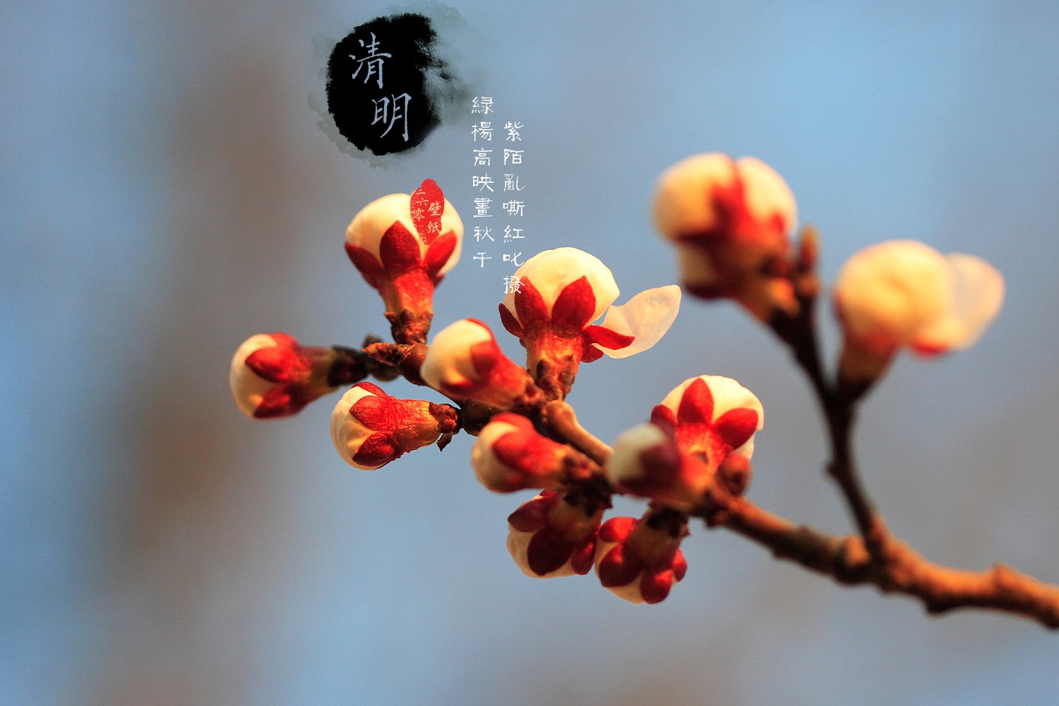 清明节,古风,古诗,诗句,意境,节气,24节气,二十四节气