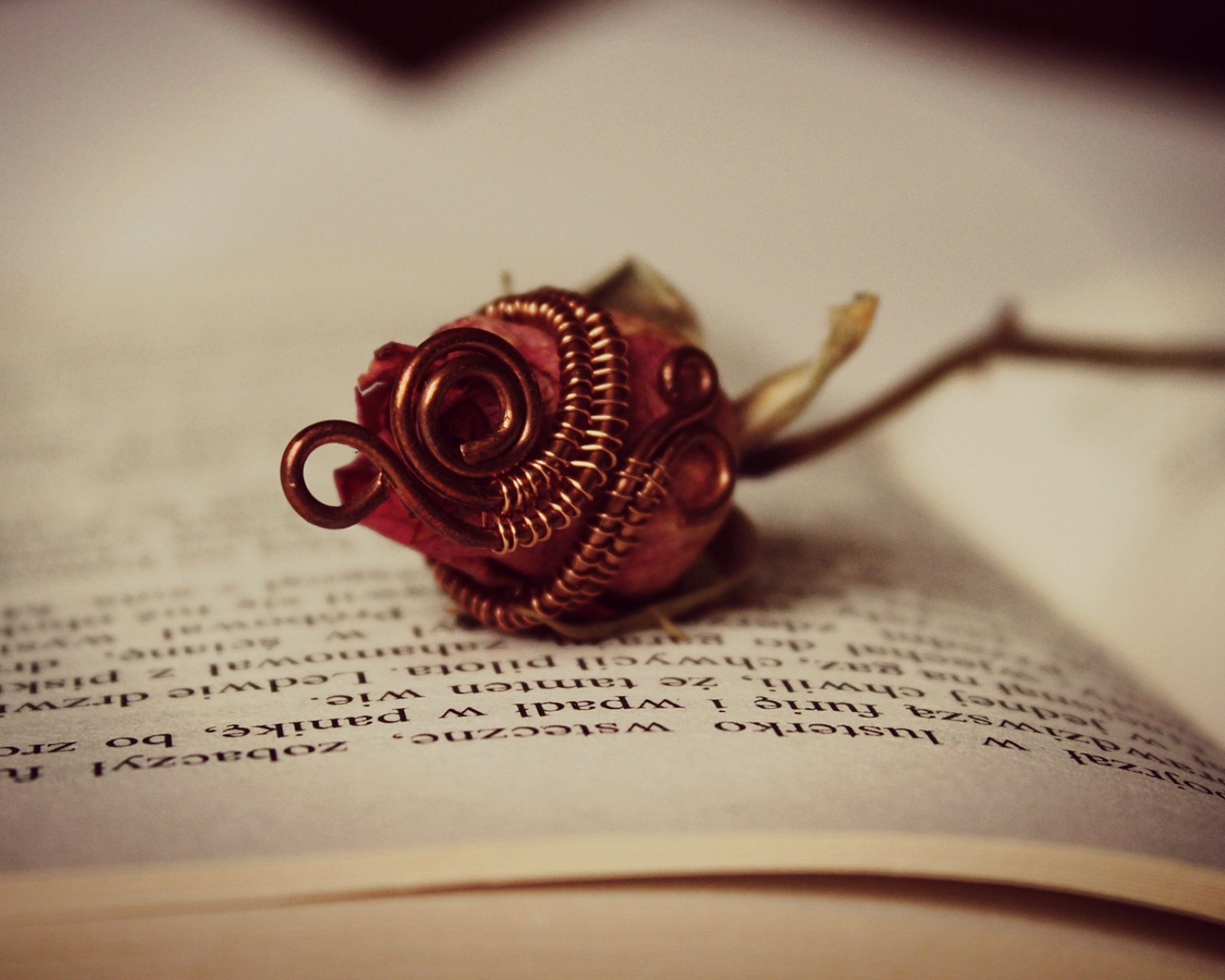 小清新,清新,唯美,物语,静物,治愈系,温暖,慢生活,花,书,玫瑰