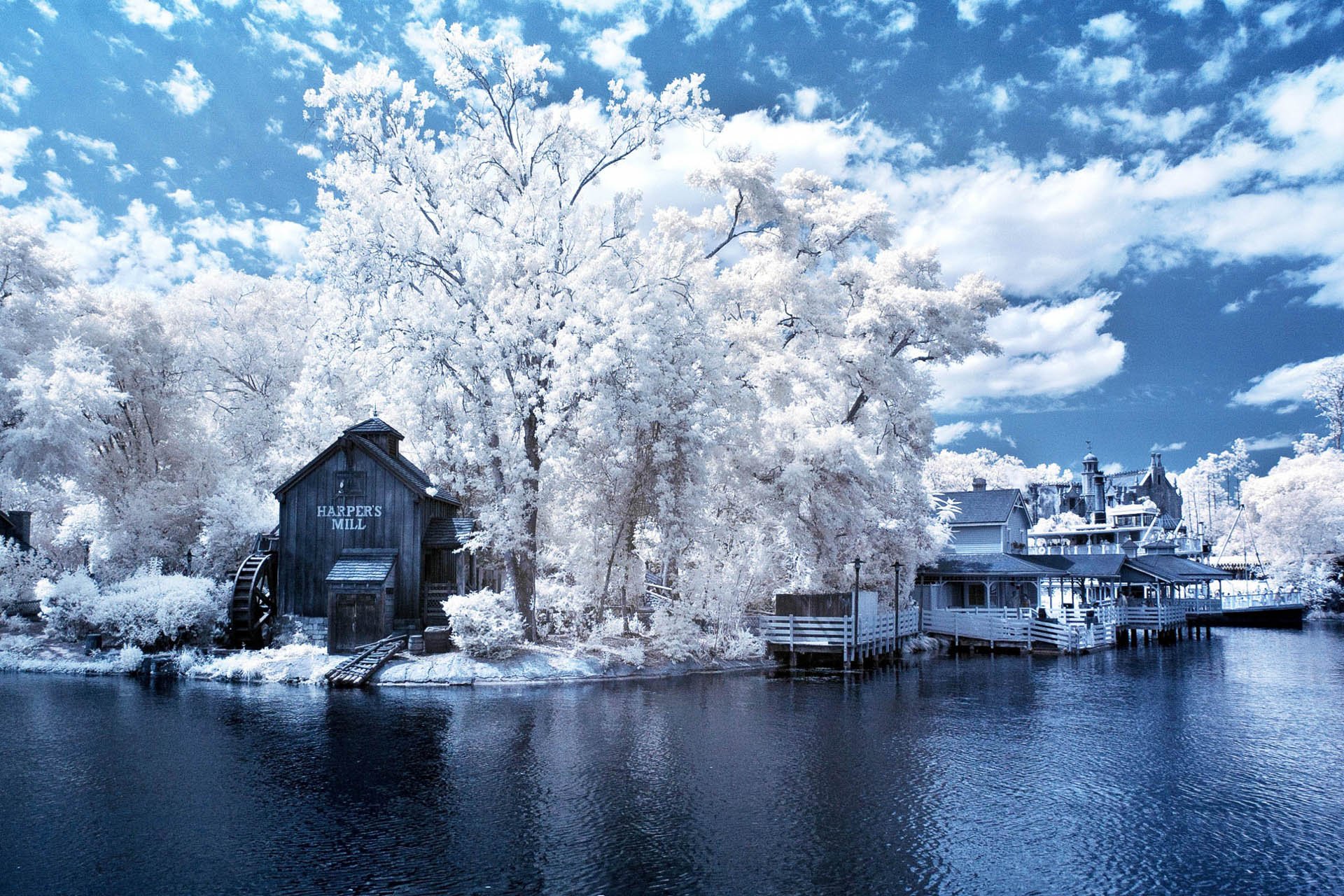自然,风光,风景,冰天雪地,雪,冬天,冷,寒冷