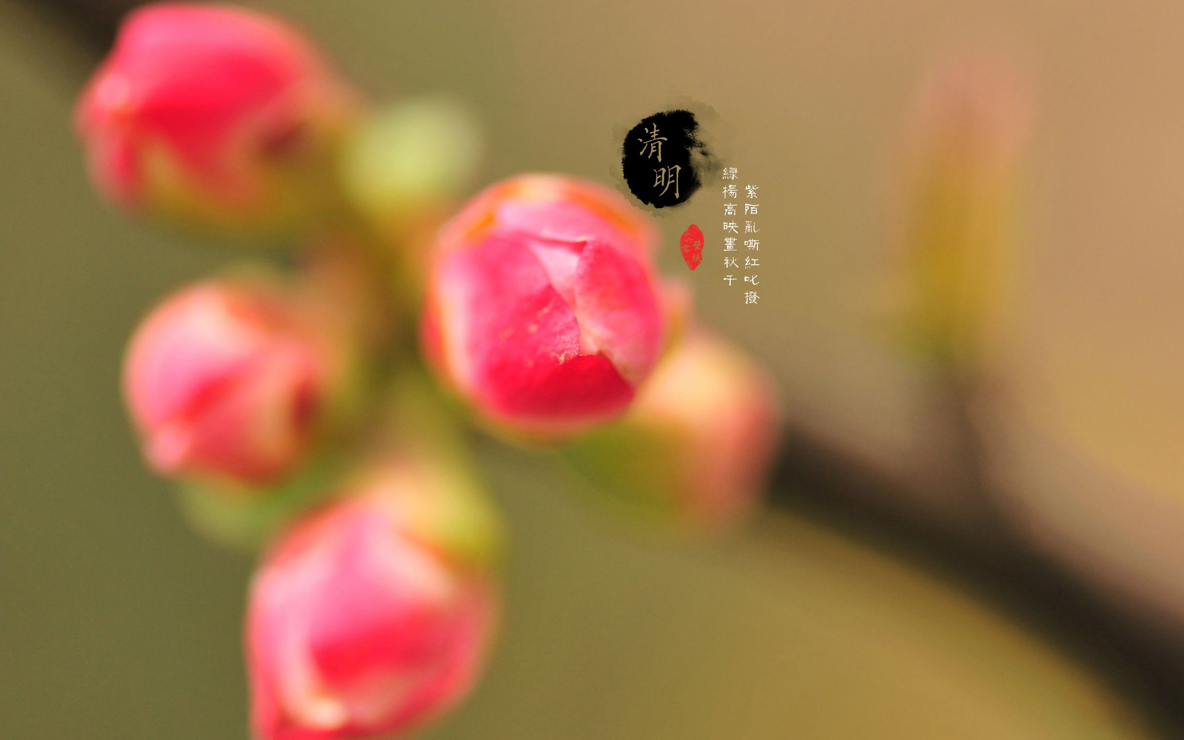 清明节,古风,古诗,诗句,意境,节气,24节气,二十四节气,@姑凉_你又瘦了