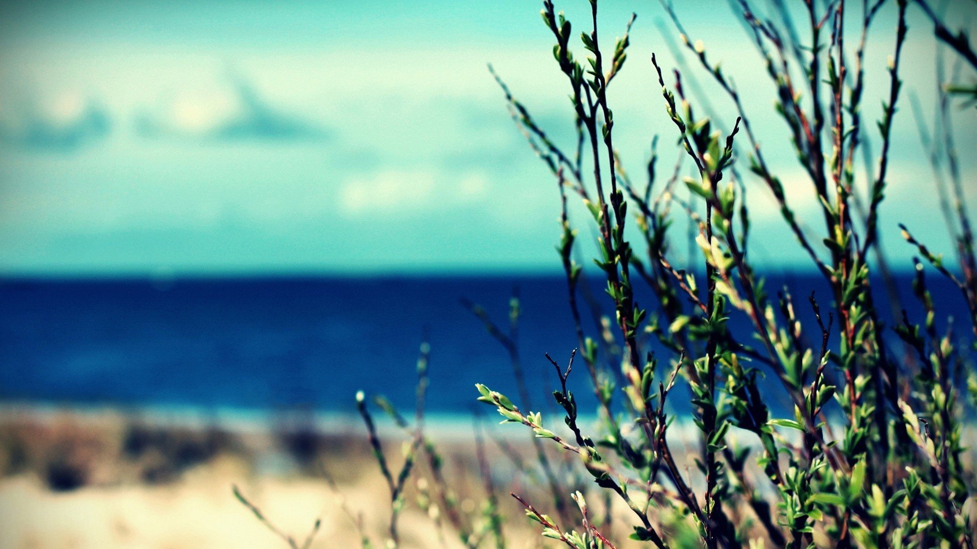 小清新,唯美,温馨,温暖,阳光,治愈系,安静,生活,慢生活,清新淡雅,温馨一刻,孤单,寂寞,离开,等待,伤感,大海,海边