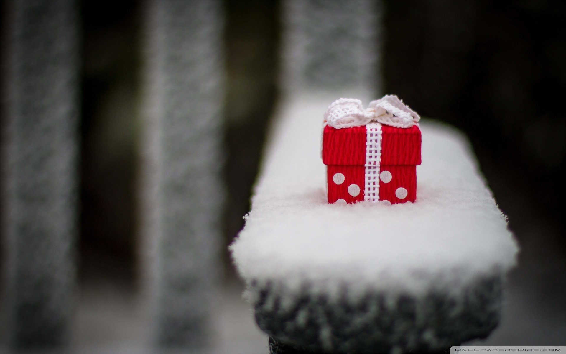 小清新,唯美,温馨,温暖,阳光,治愈系,安静,生活,慢生活,清新淡雅,温馨一刻,静物写真,物语,礼物,节日