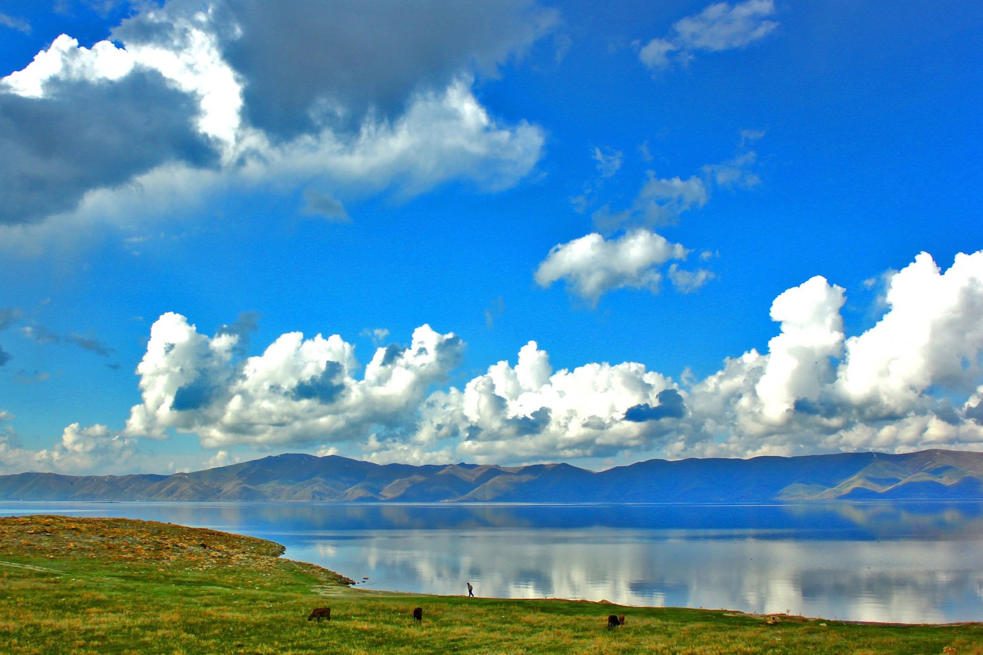 自然,风光,风景,蓝天白云,阳光