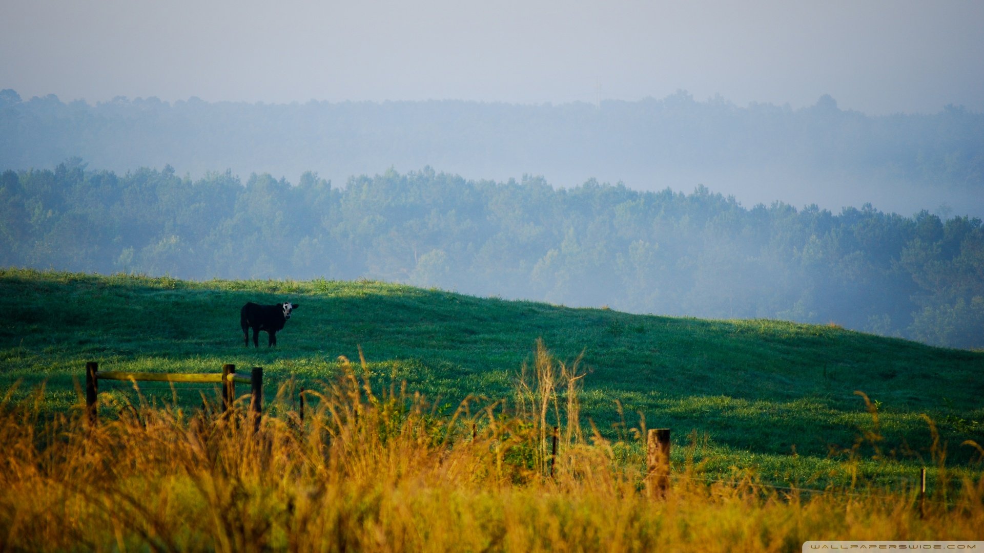 自然,风光,风景,山,唯美,意境,云雾,仙境