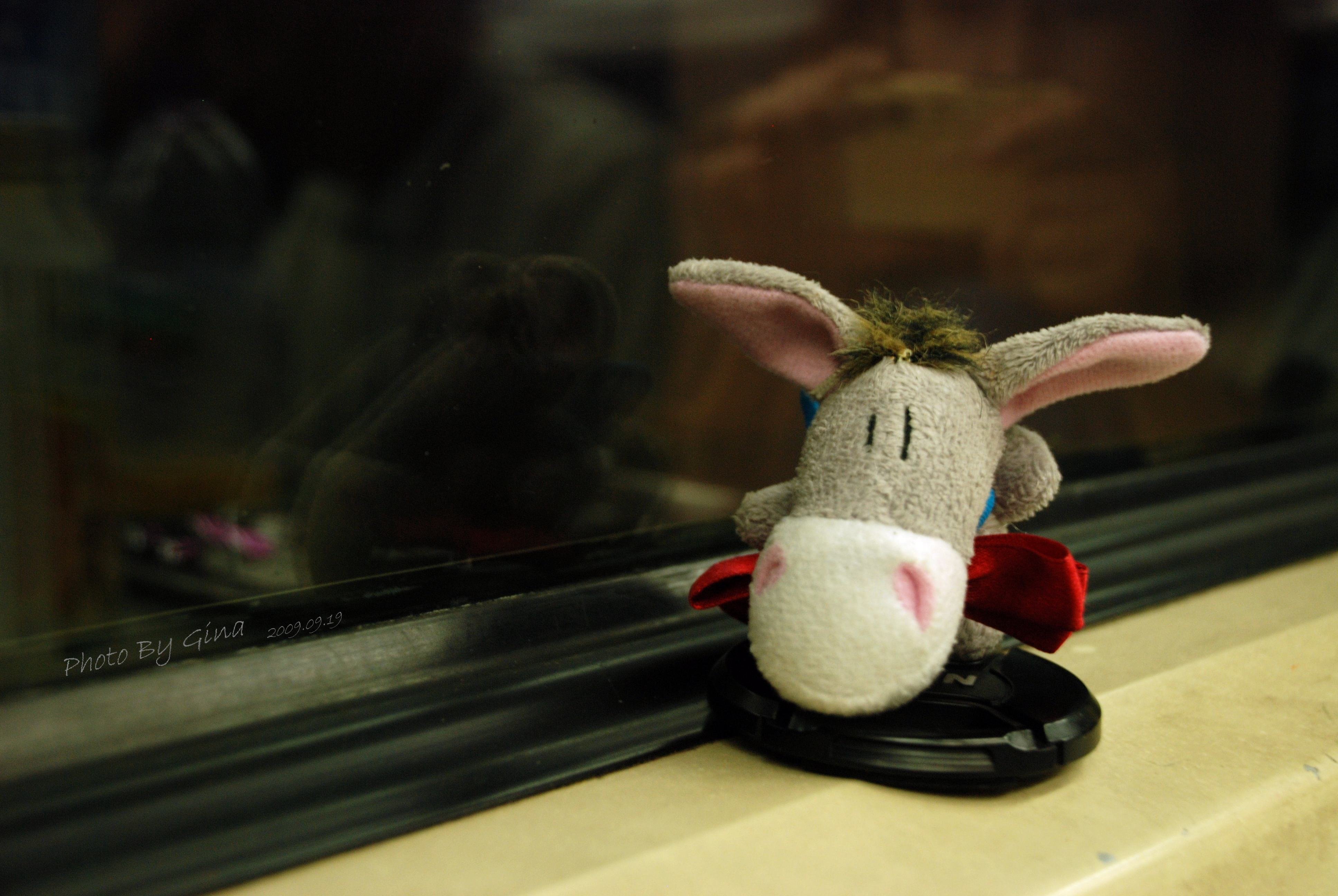 小清新,唯美,温馨,温暖,阳光,治愈系,安静,生活,慢生活,清新淡雅,温馨一刻,静物写真,物语,驴,孤单,寂寞,等待,一个人