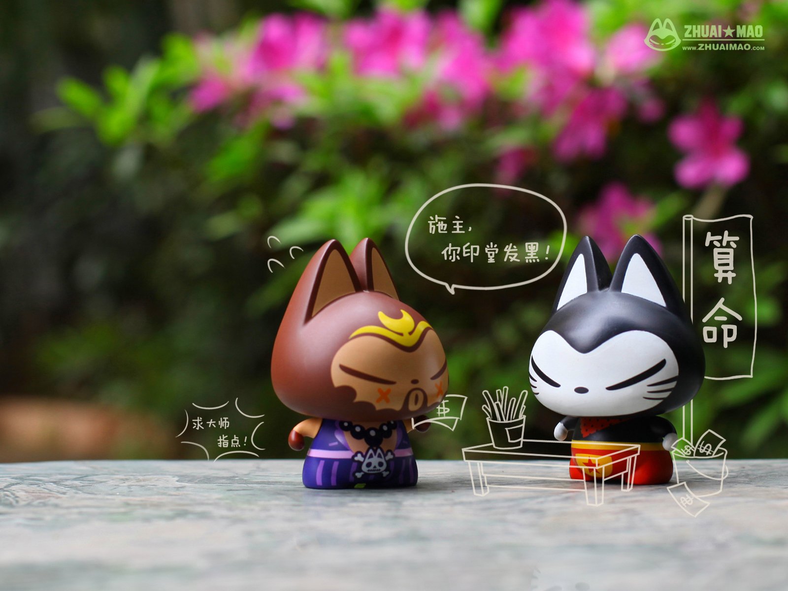 拽猫,可爱,动漫,摄影,静物微距,文字,愚人节,恶搞,搞笑