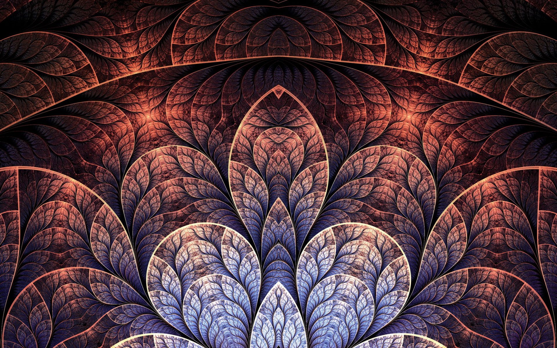 炫酷,特效,视觉艺术分形艺术,花,艺术,设计,色彩,炫彩