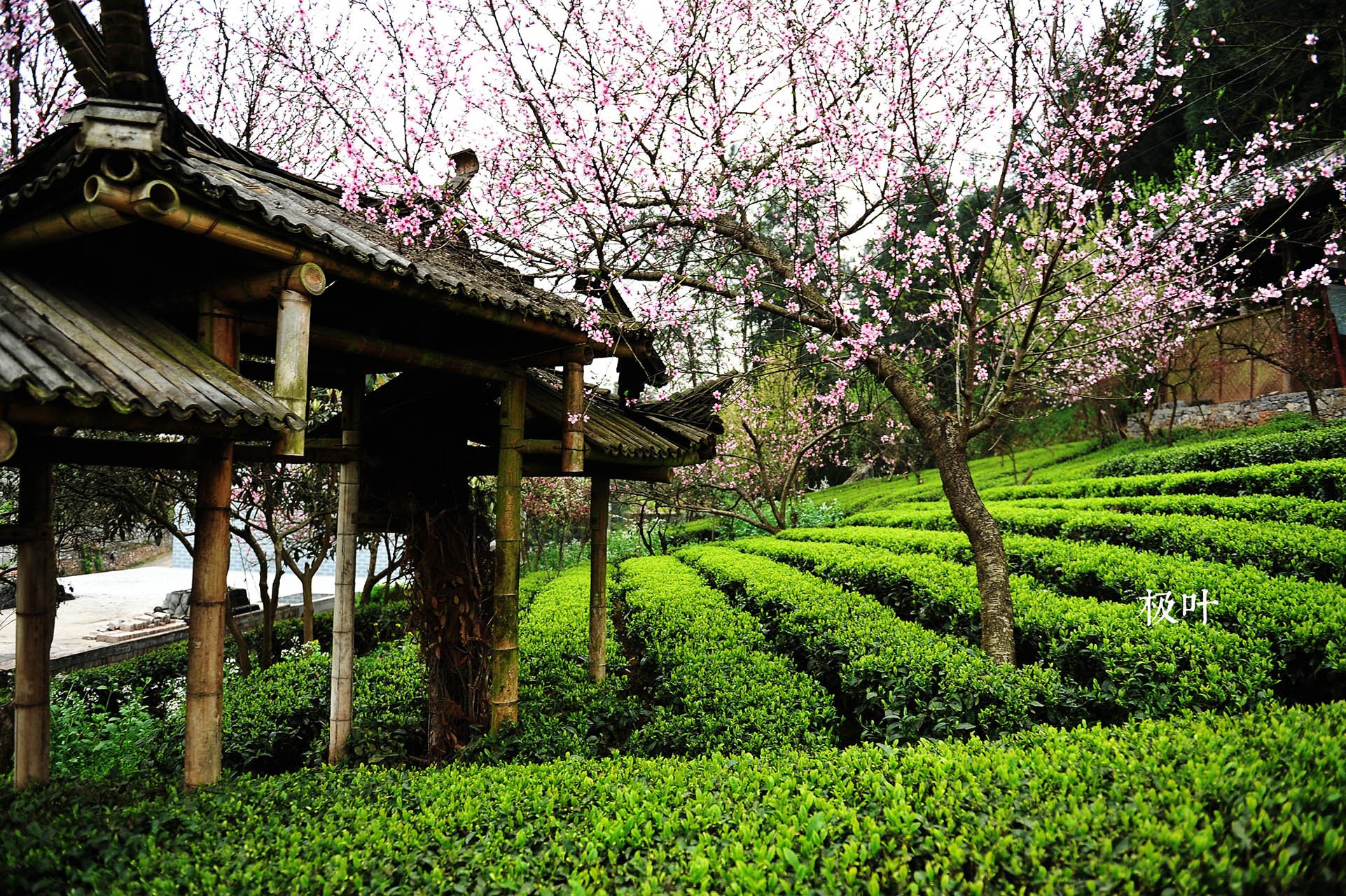 恩施摄影师,风景,唯美,意境