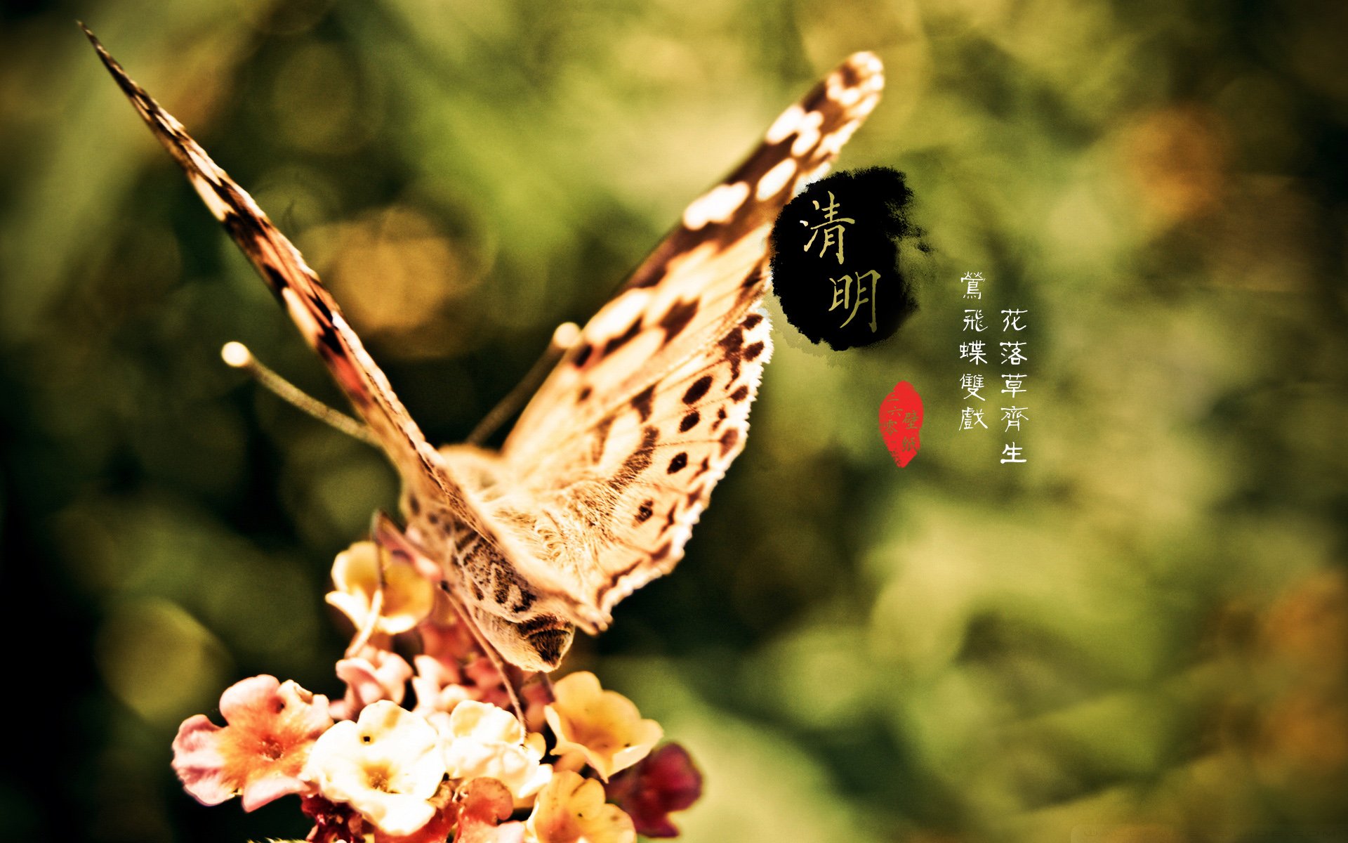 清明节,古风,古诗,诗句,意境,节气,24节气,二十四节气,@姑凉_你又瘦了