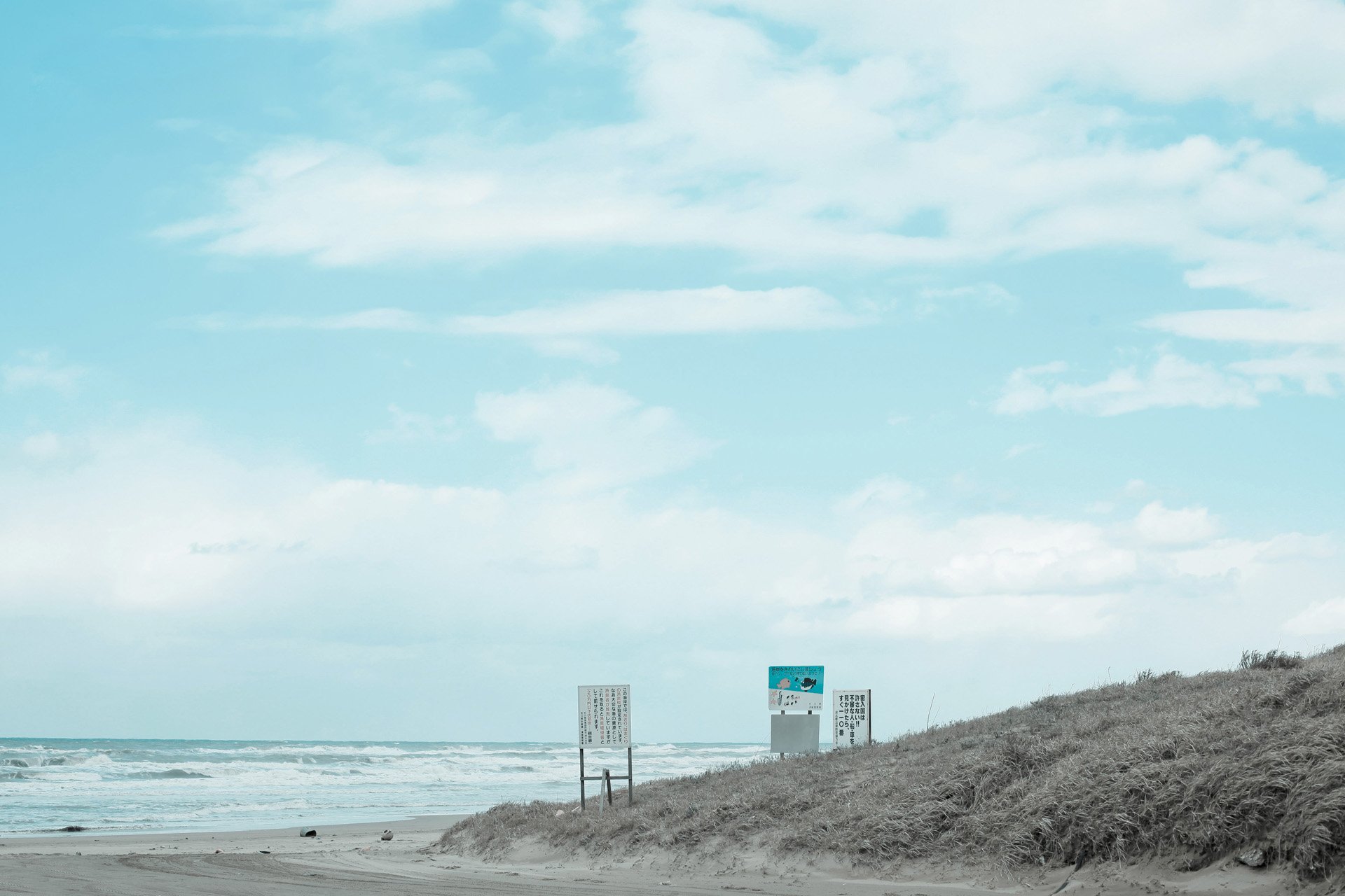 小清新,唯美,温馨,温暖,阳光,治愈系,安静,生活,慢生活,清新淡雅,温馨一刻,海边,LOMO