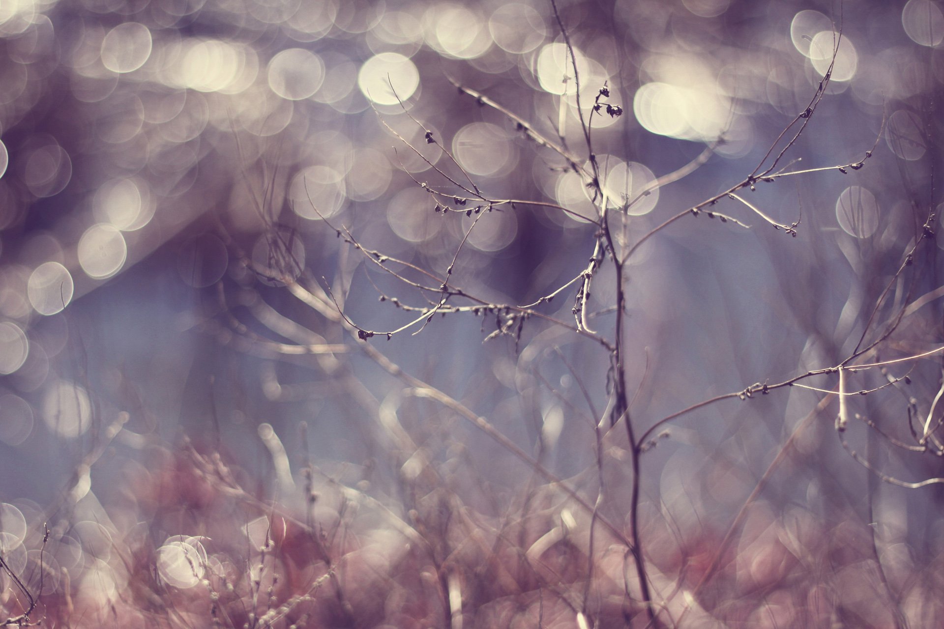 自然,风光,风景,秋天,秋意正浓