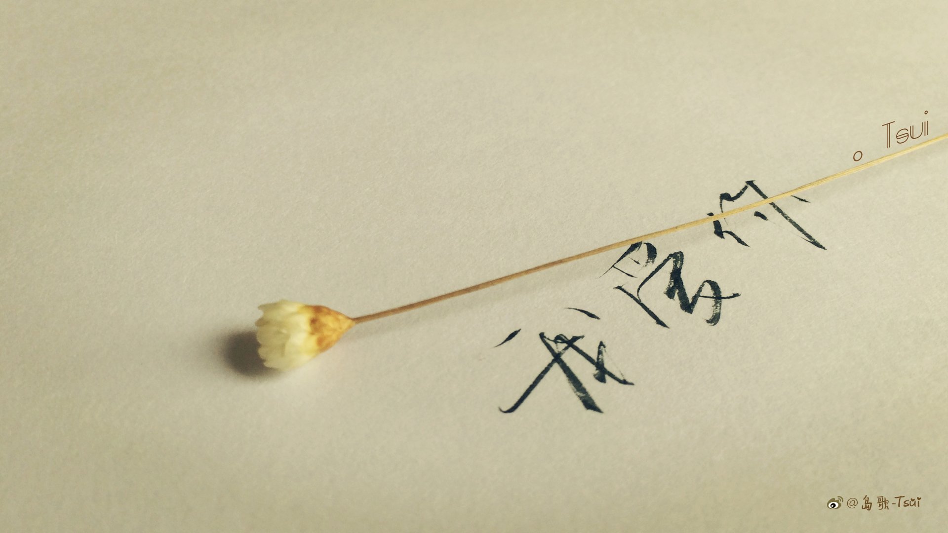 岛歌,手写,伤感,文字,爱情箴言