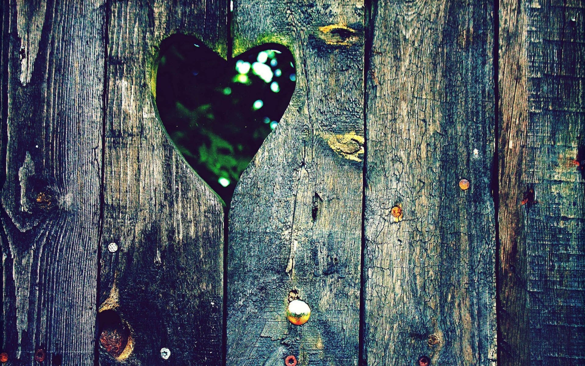 大自然的爱,心,唯美,风景,自然