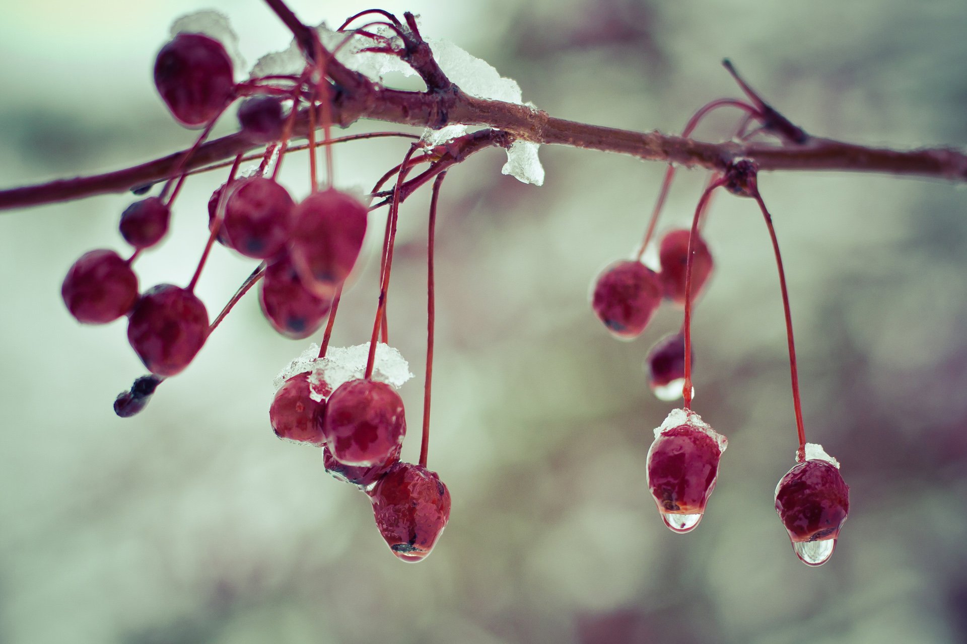 小清新,唯美,温馨,温暖,阳光,绿色养眼,自然,清新淡雅,花,春天,花团锦簇