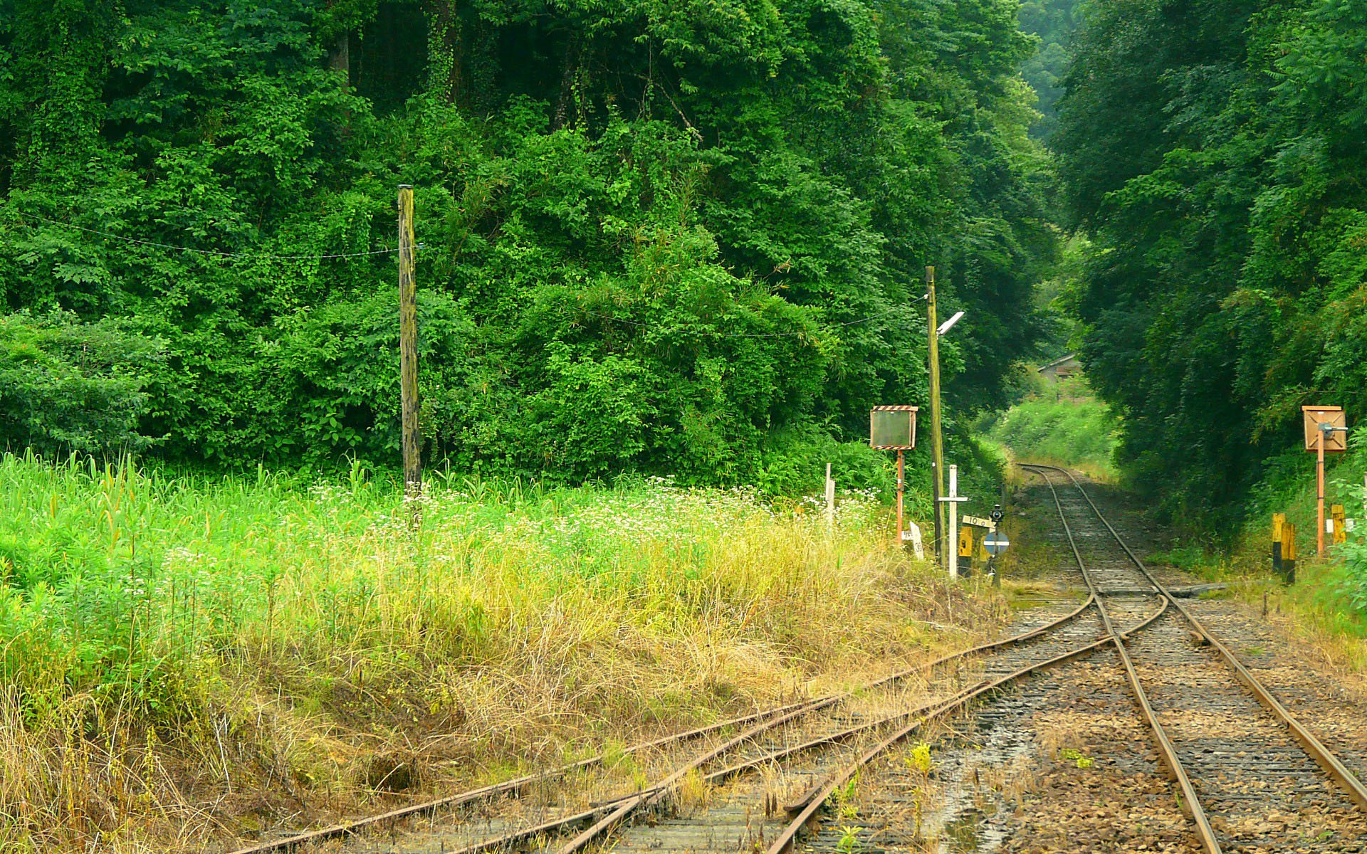 小清新,风景,自然风光,绿色植物,绿色养眼,春天,唯美,安静